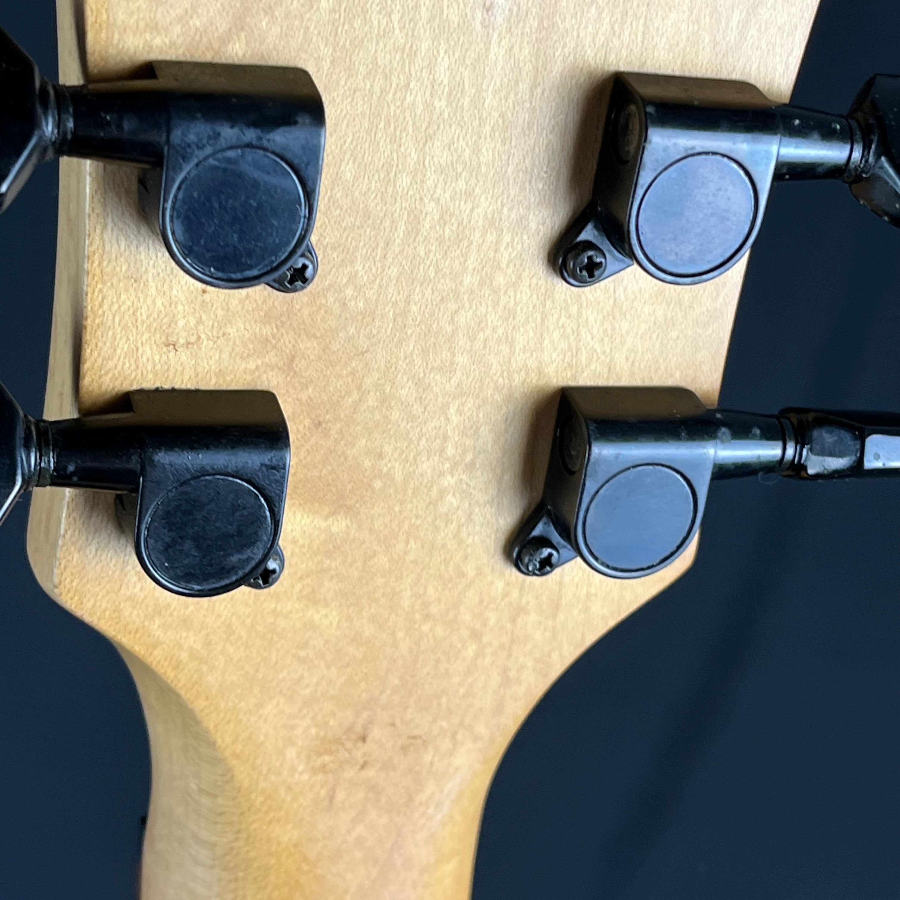 Fernandes Vertigo X