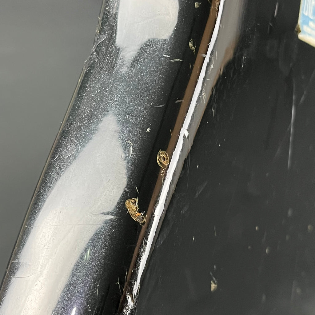 Greco Japan PB420 Precision Bass