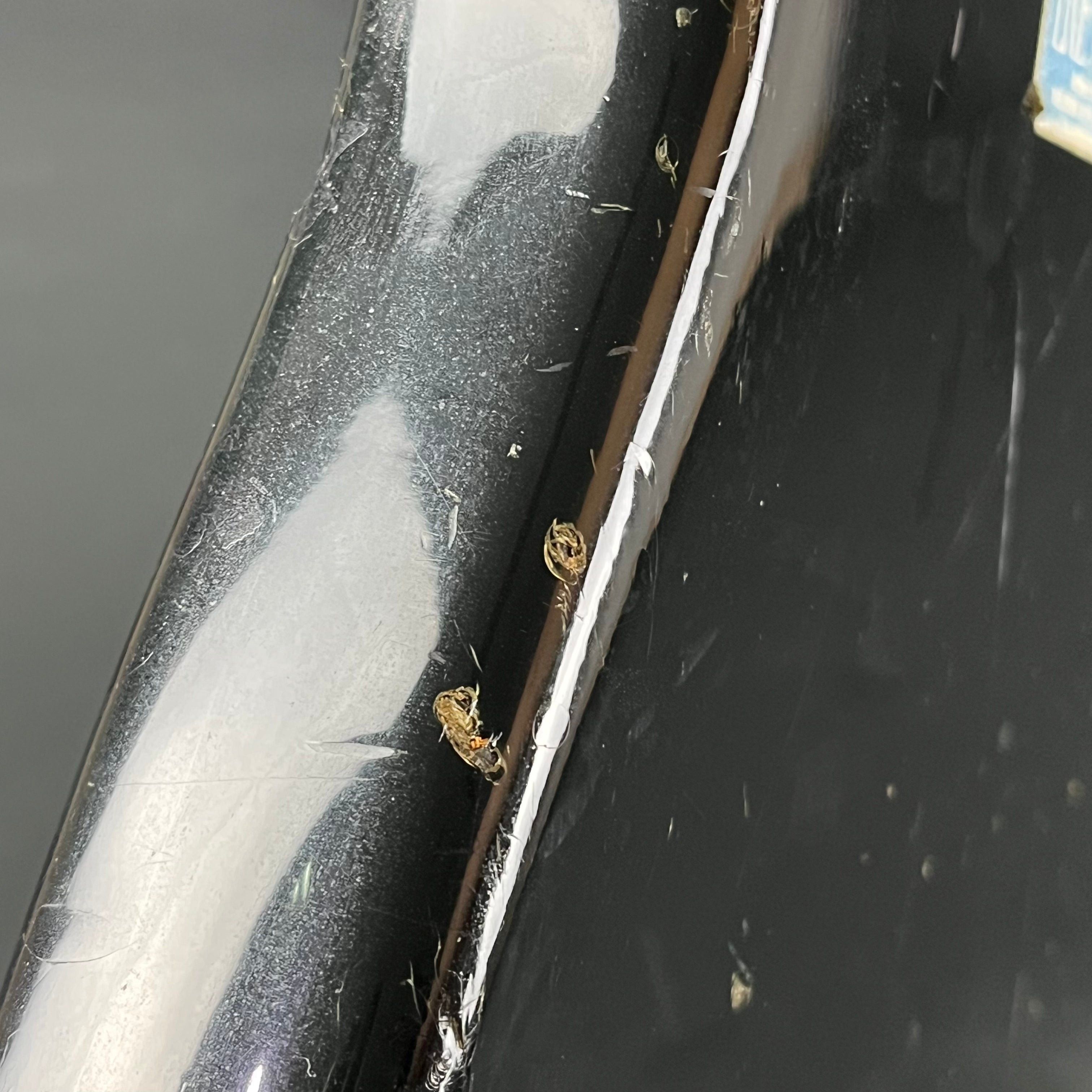 Greco Japan PB420 Precision Bass