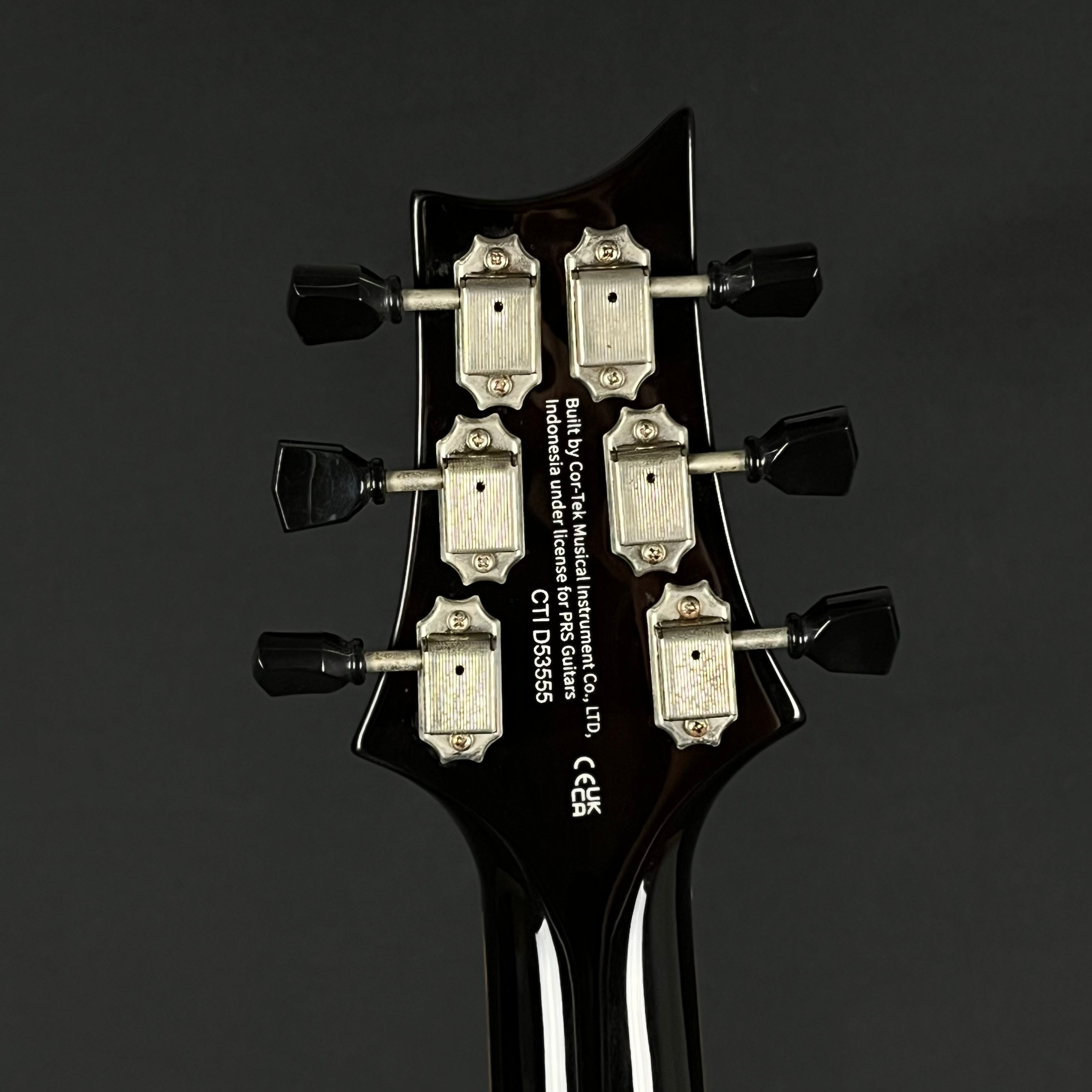 PRS SE Paul's Guitar 2021