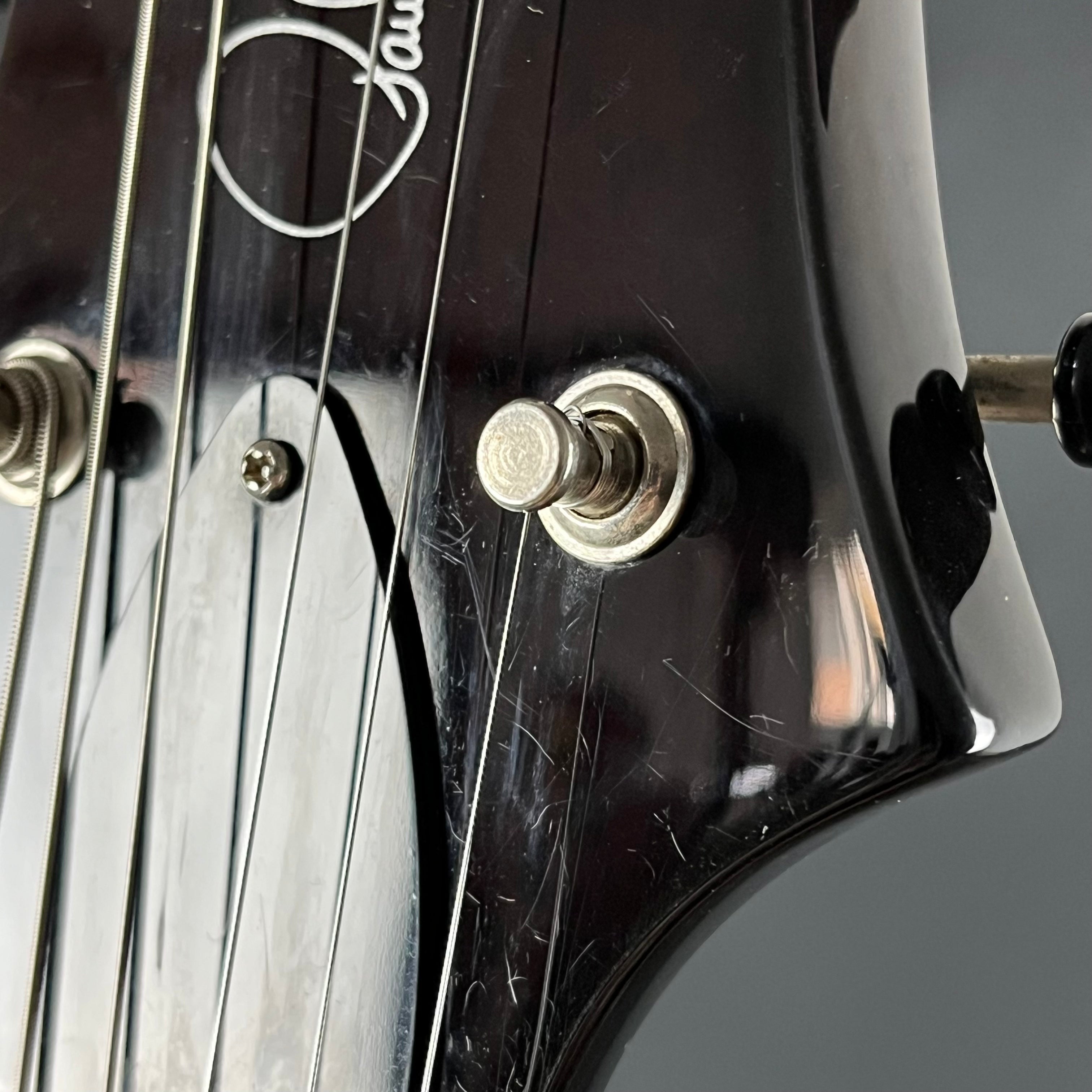PRS SE Paul's Guitar 2021