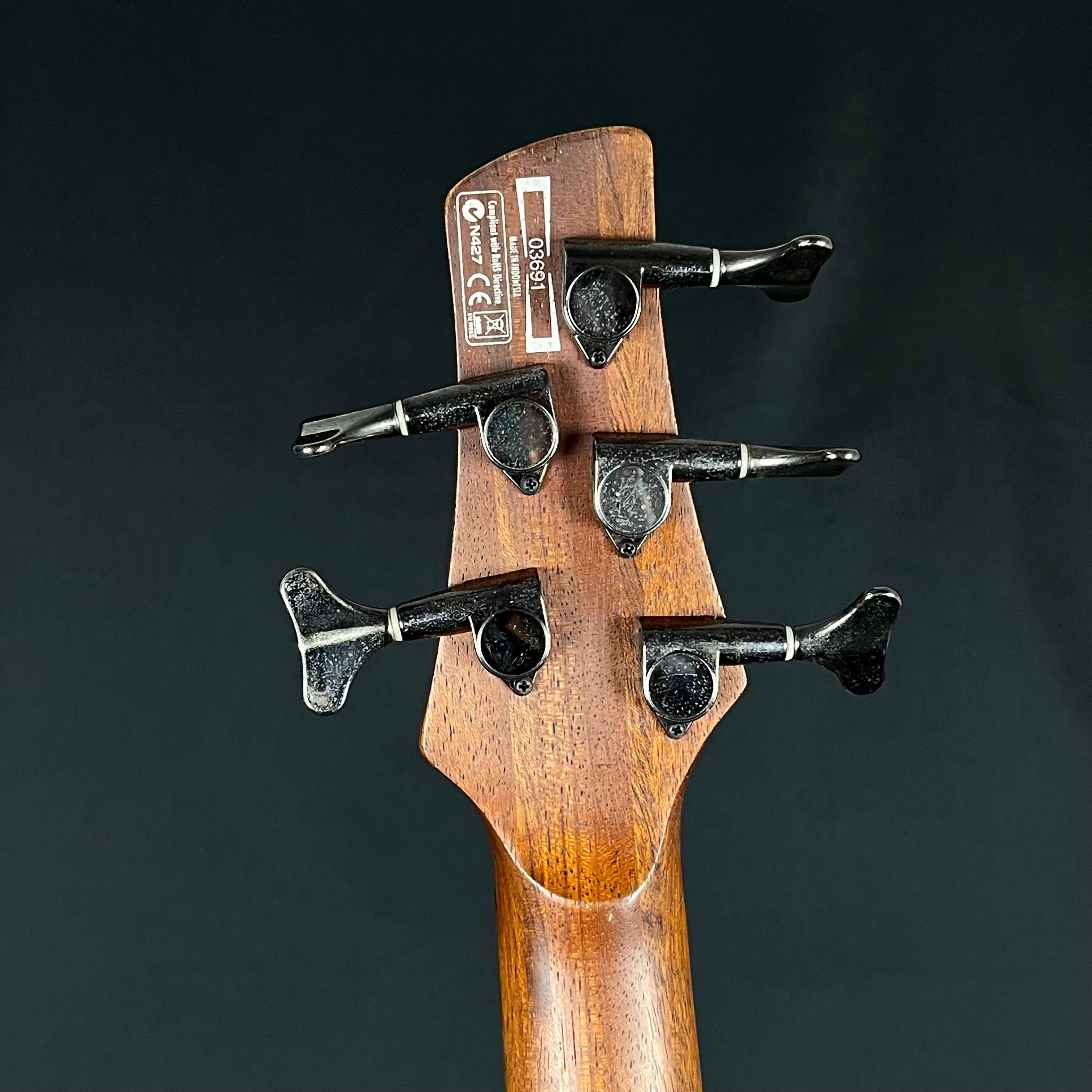 Ibanez SR305 BWK Bass