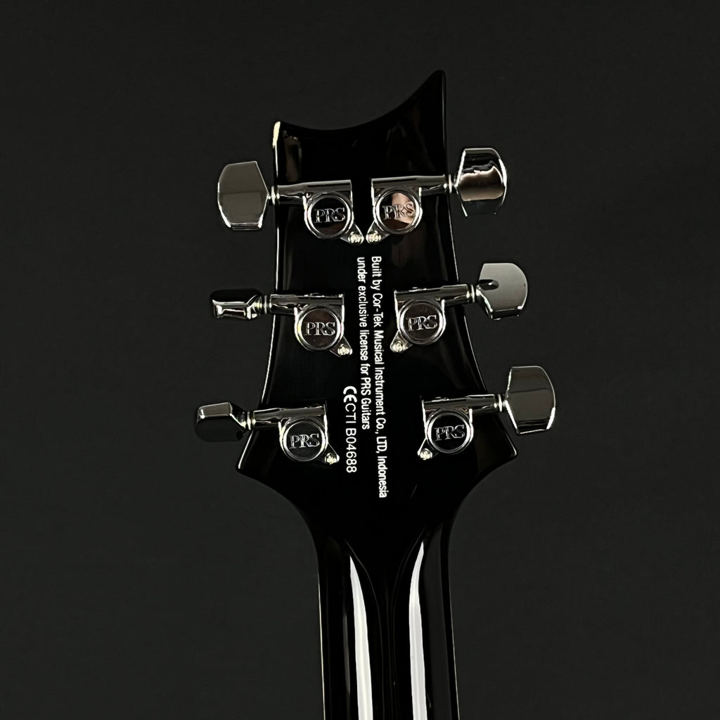 PRS SE Standard 24 2019