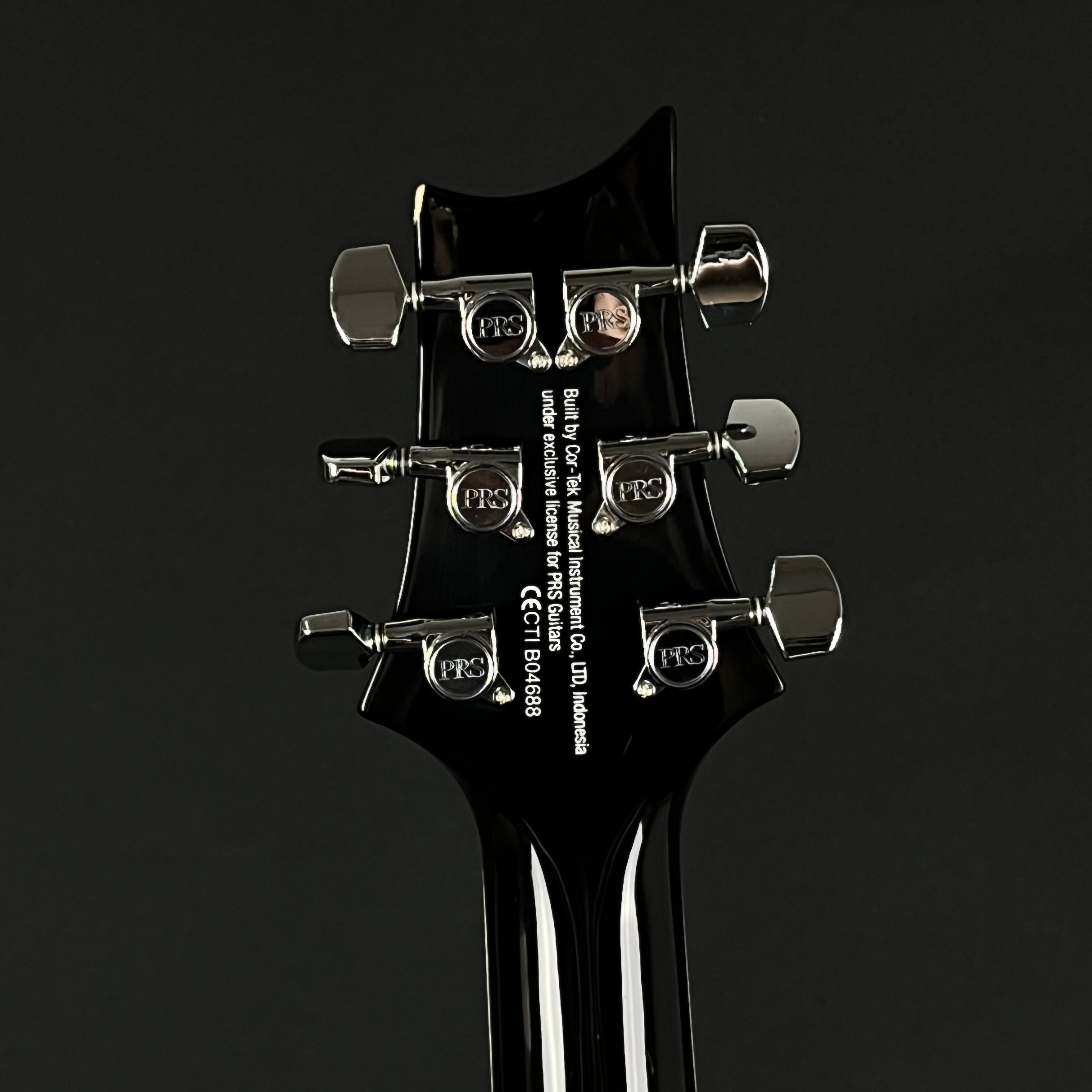 PRS SE Standard 24 2019