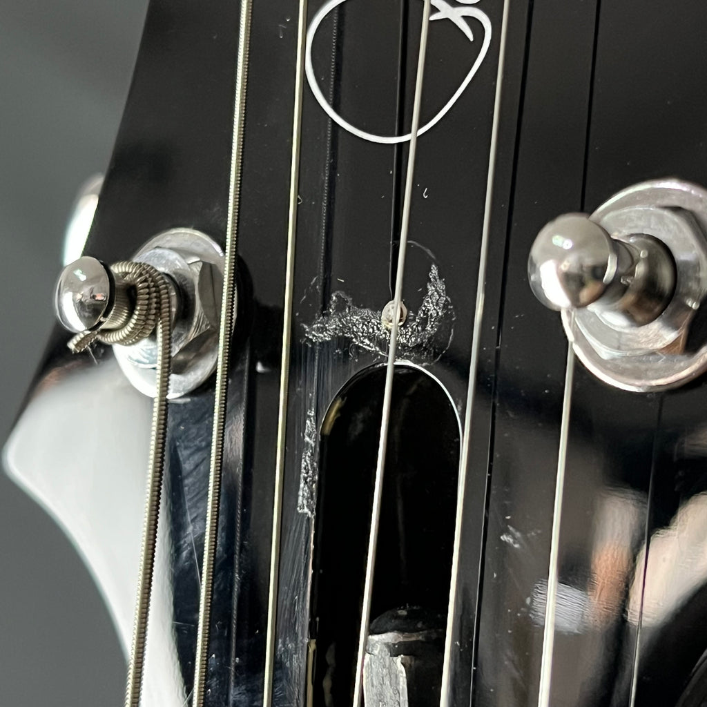 PRS SE Standard 24 2019