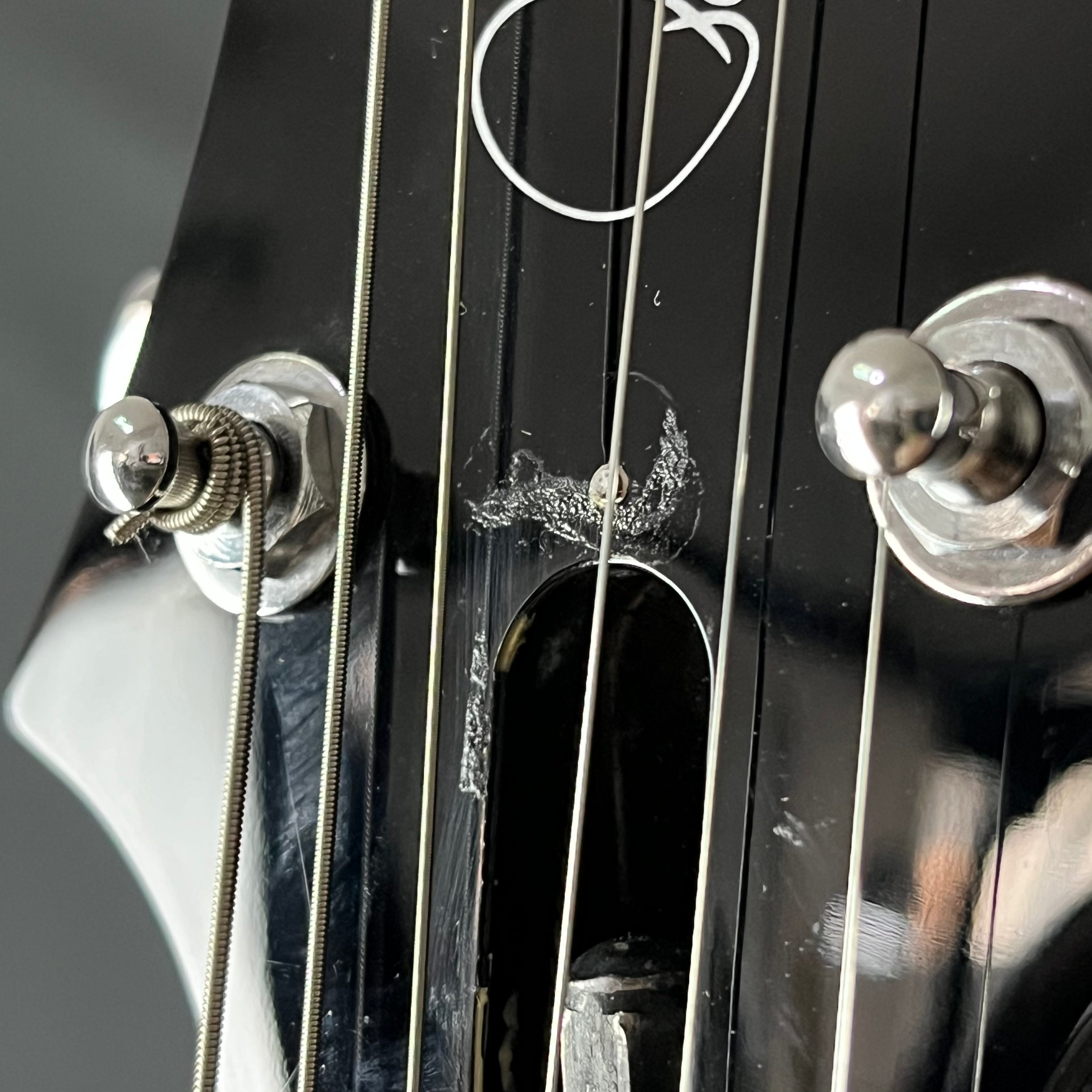 PRS SE Standard 24 2019