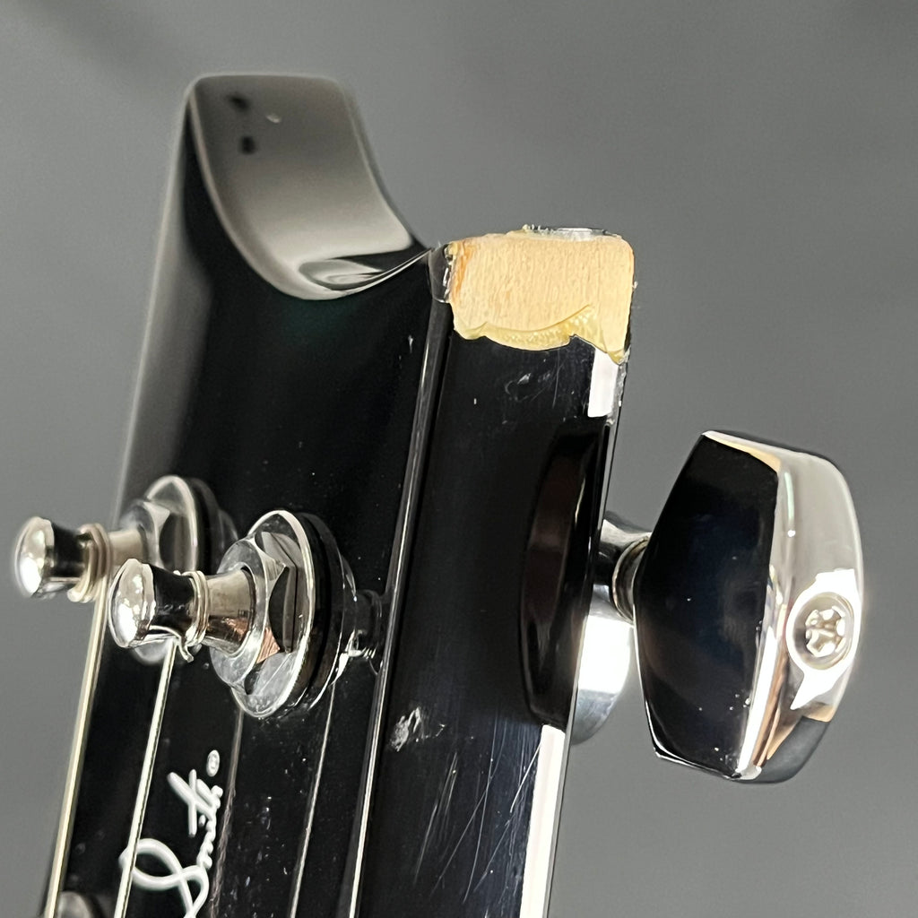 PRS SE Standard 24 2019