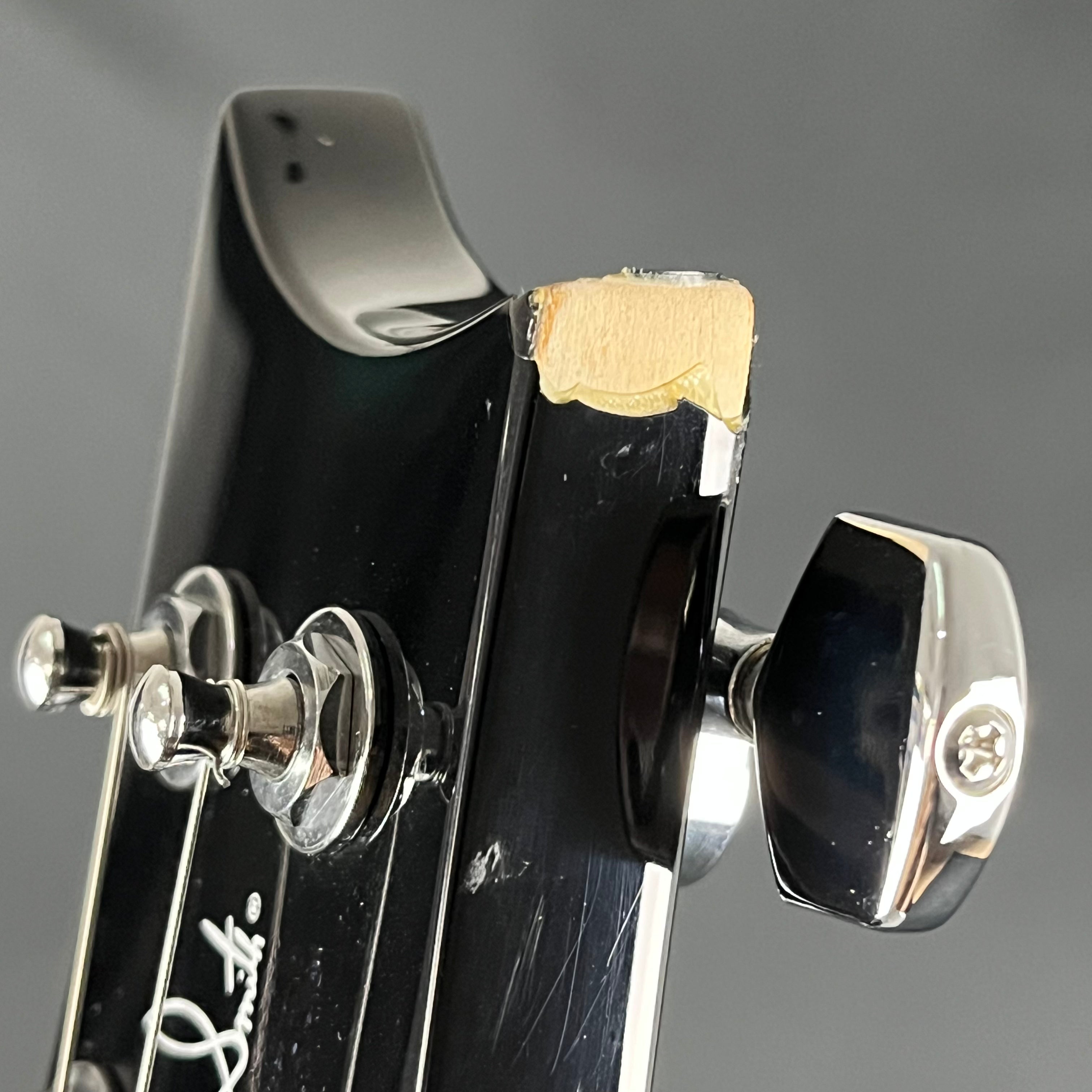 PRS SE Standard 24 2019