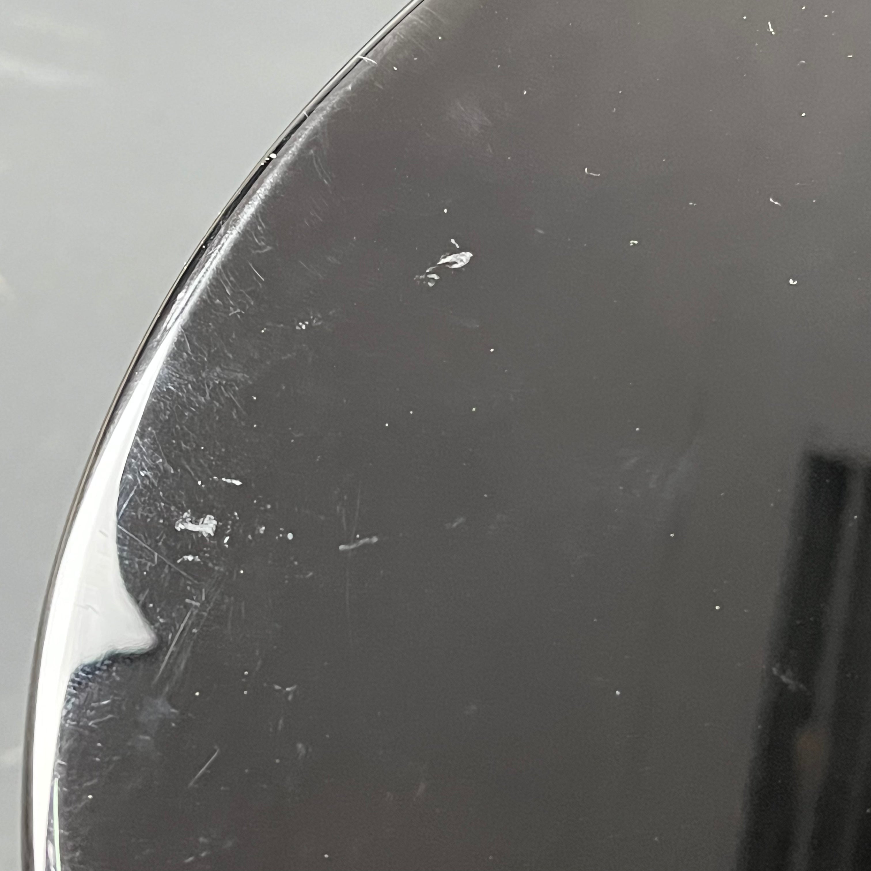 PRS SE Standard 24 2019