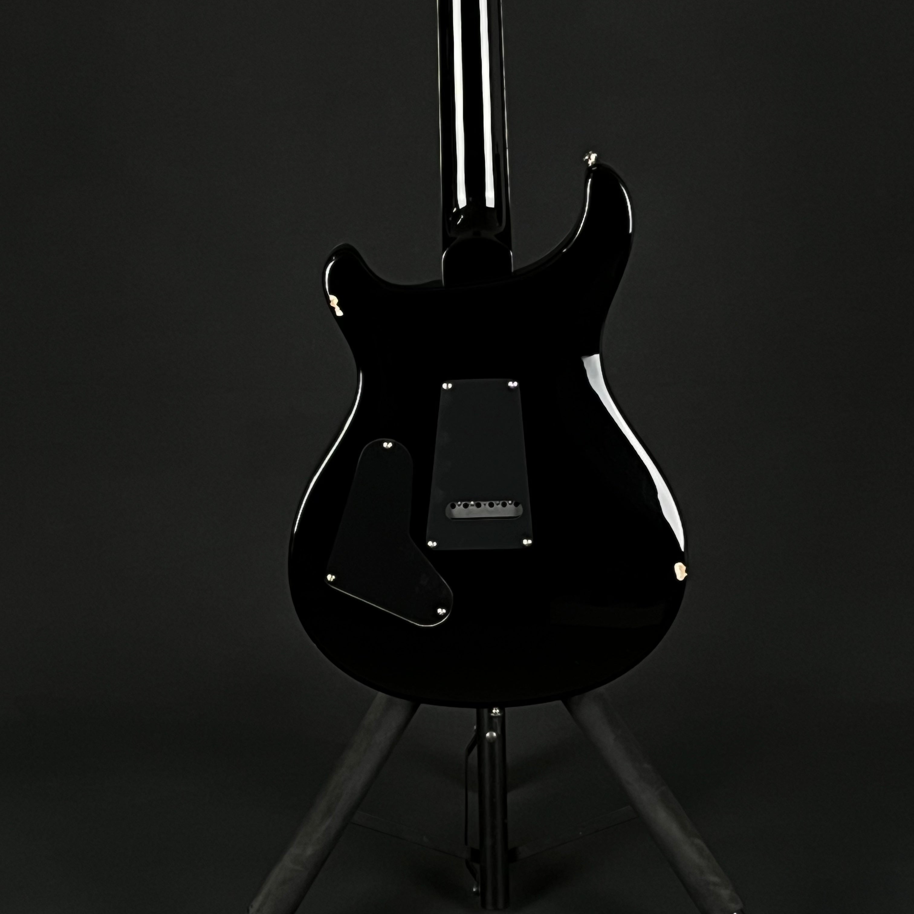 PRS SE Standard 24 2019