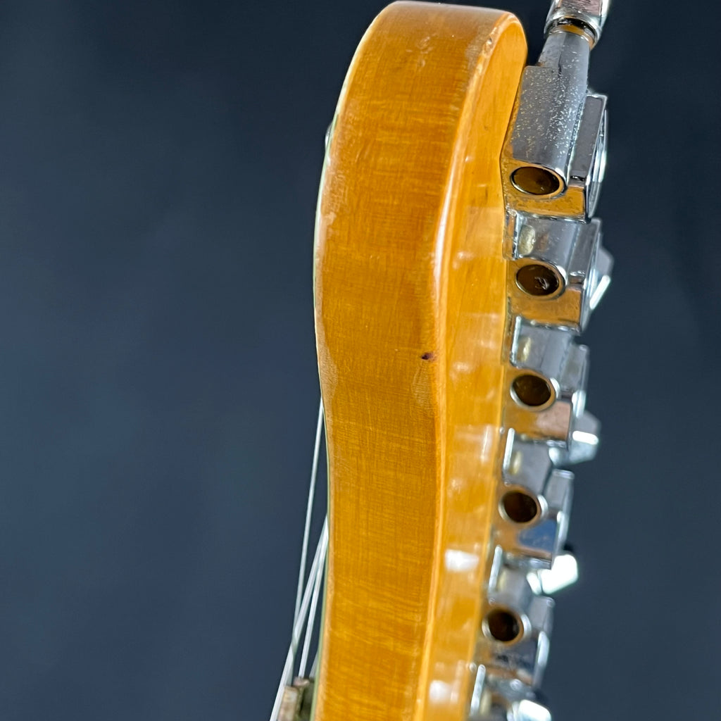 FERNANDES ZO-3