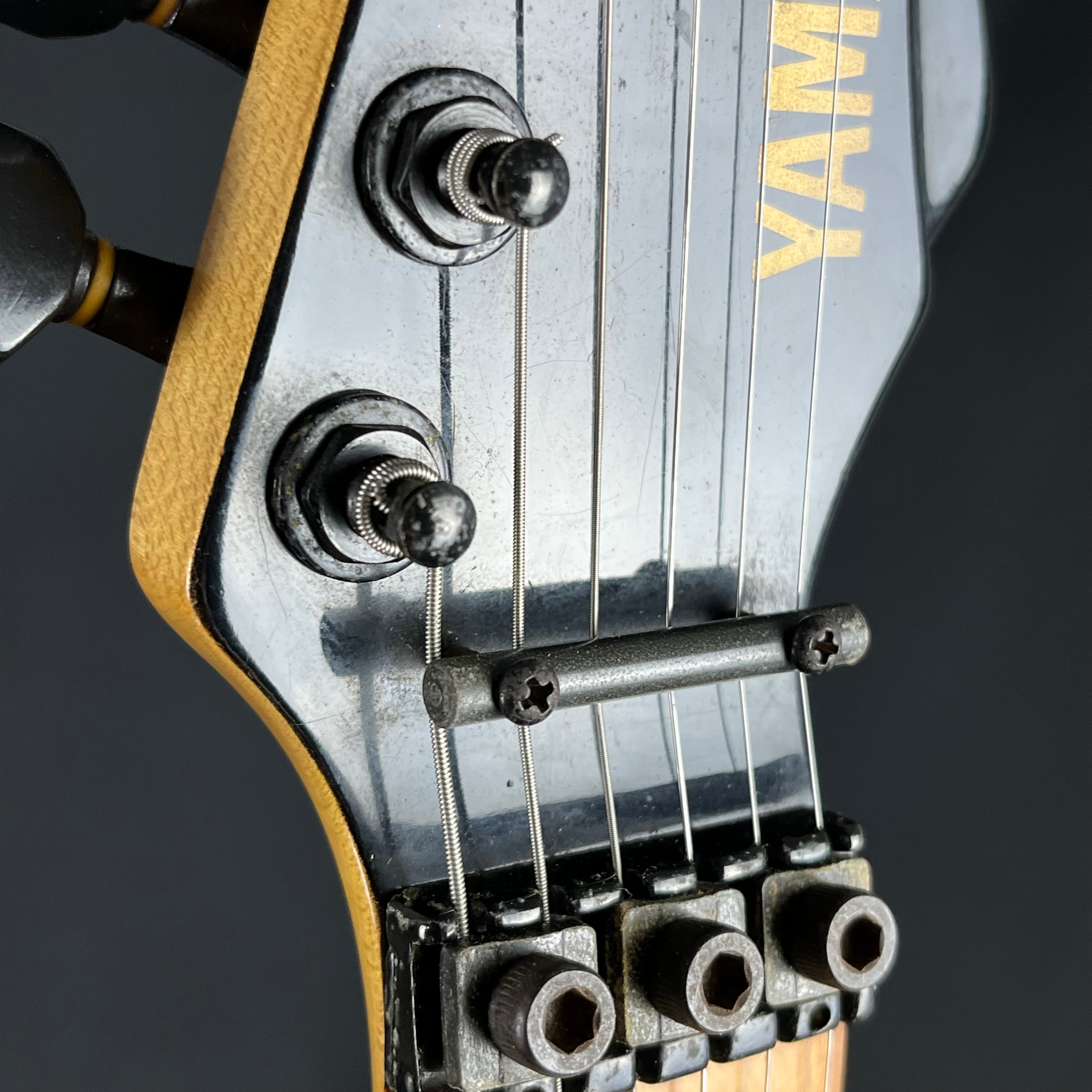 YAMAHA Japan RGZ Series