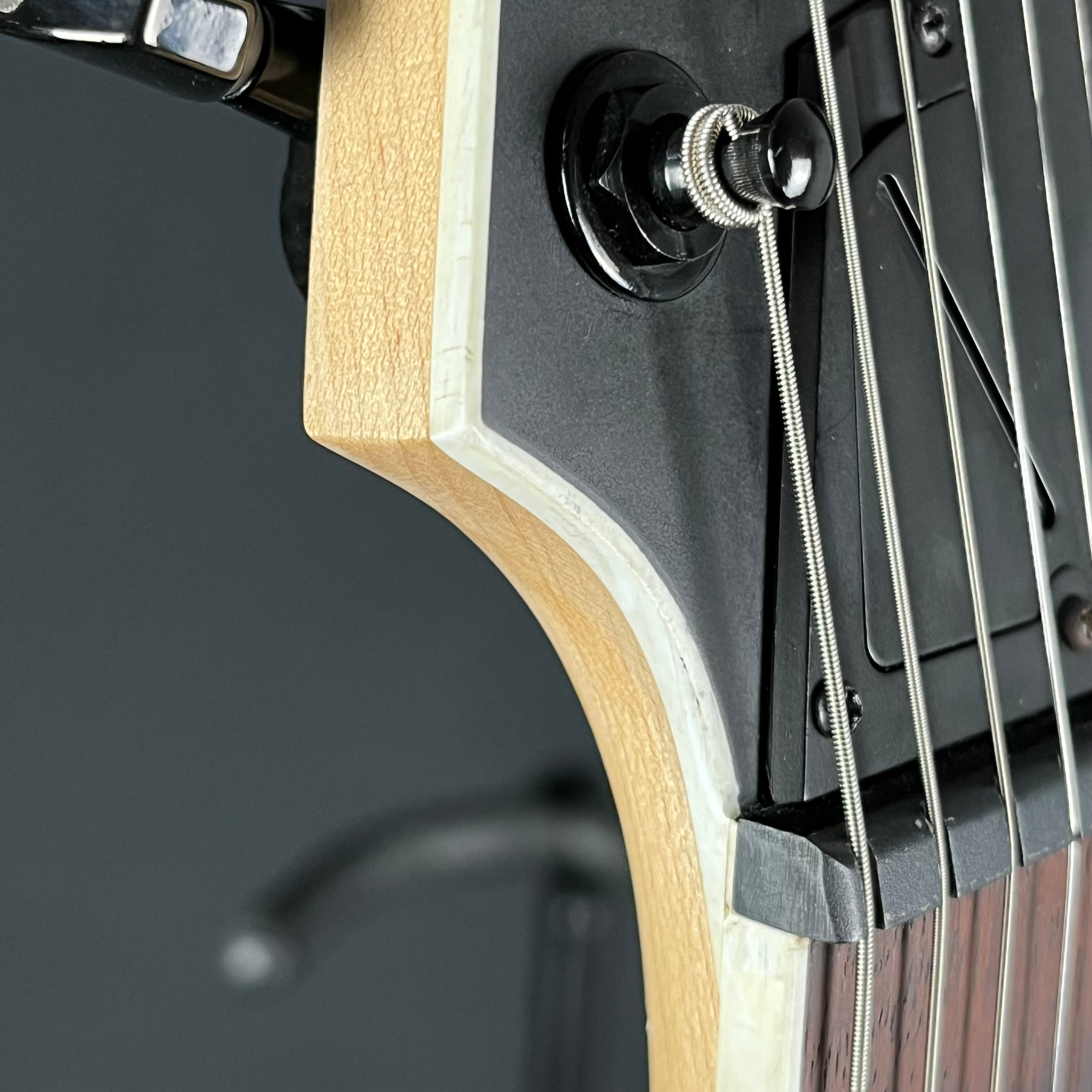 Ibanez RG421EX