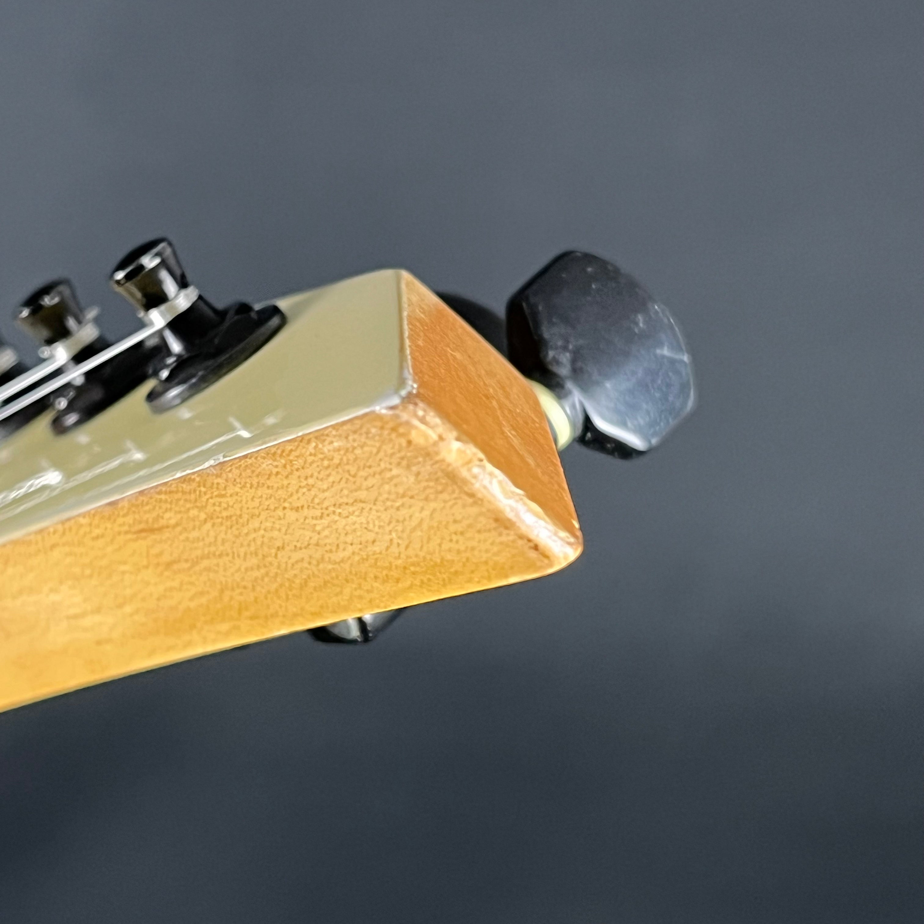 Fernandes STJ-80BT