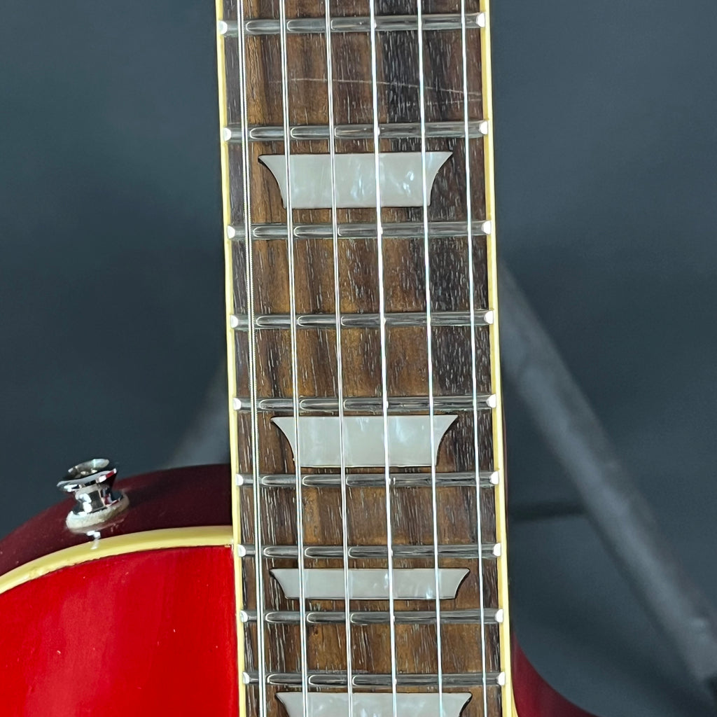 Epiphone Les Paul Standard * Body Crack *