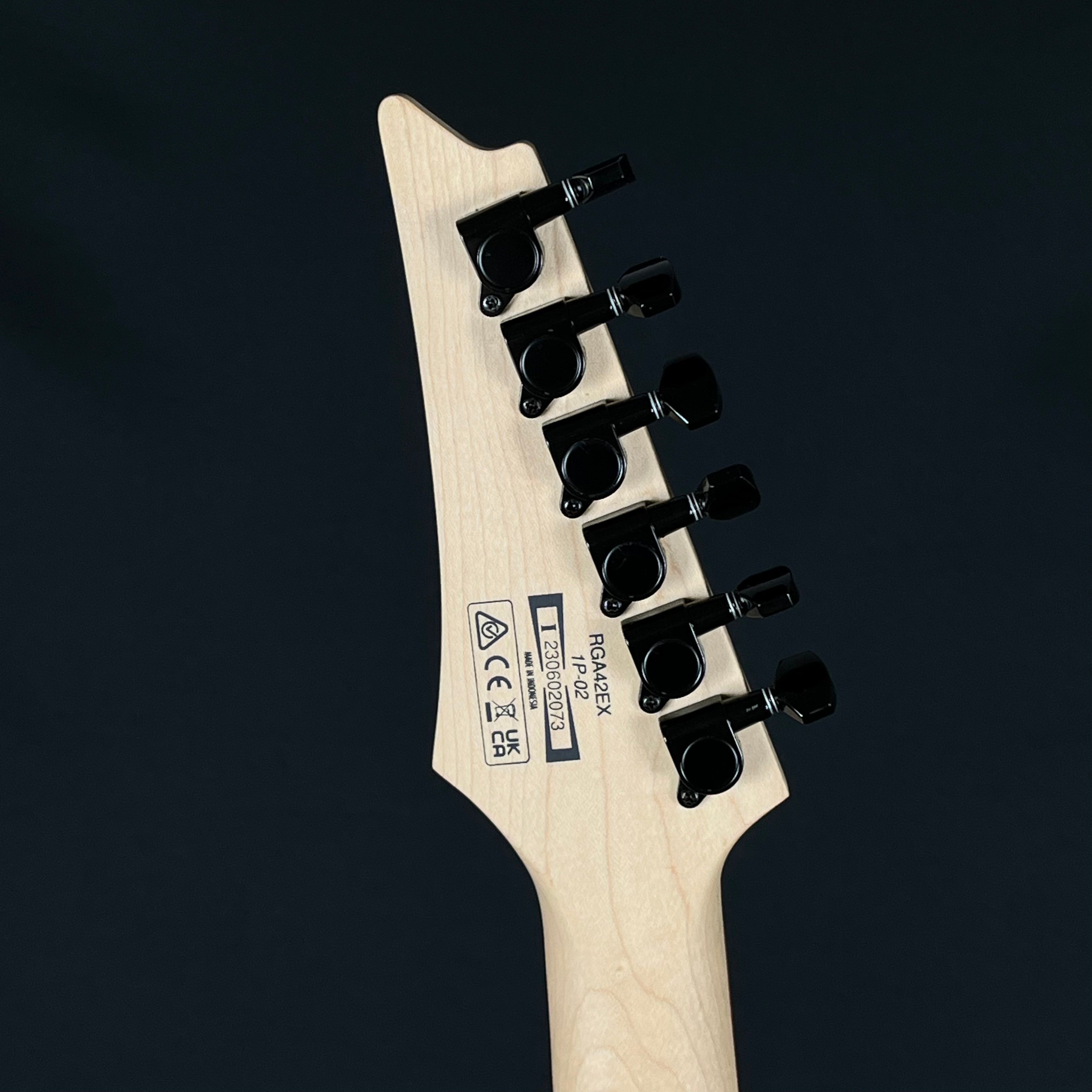 Ibanez RGA42EX