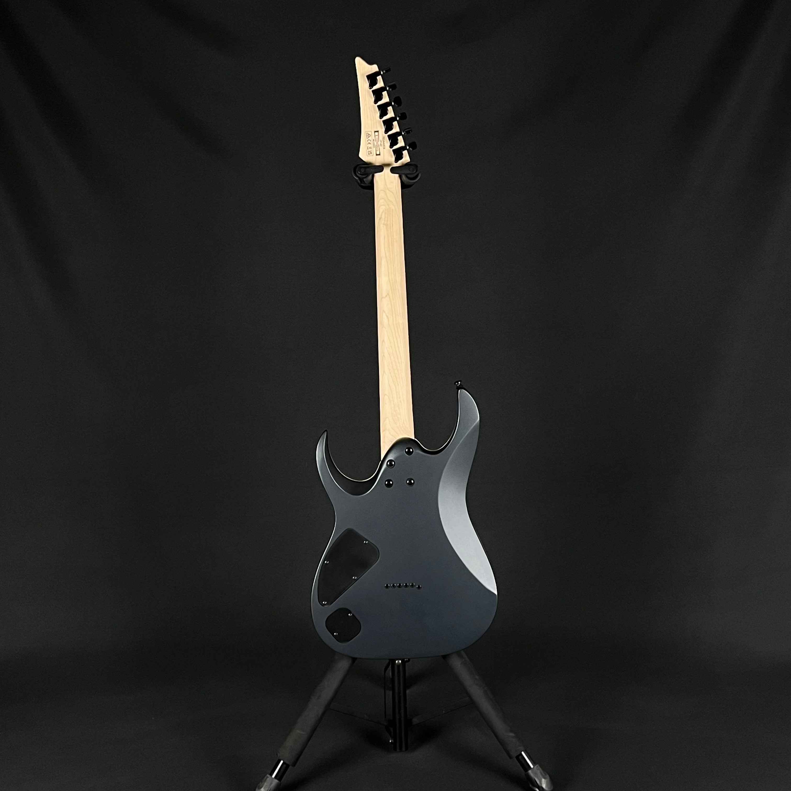 Ibanez RGA42EX