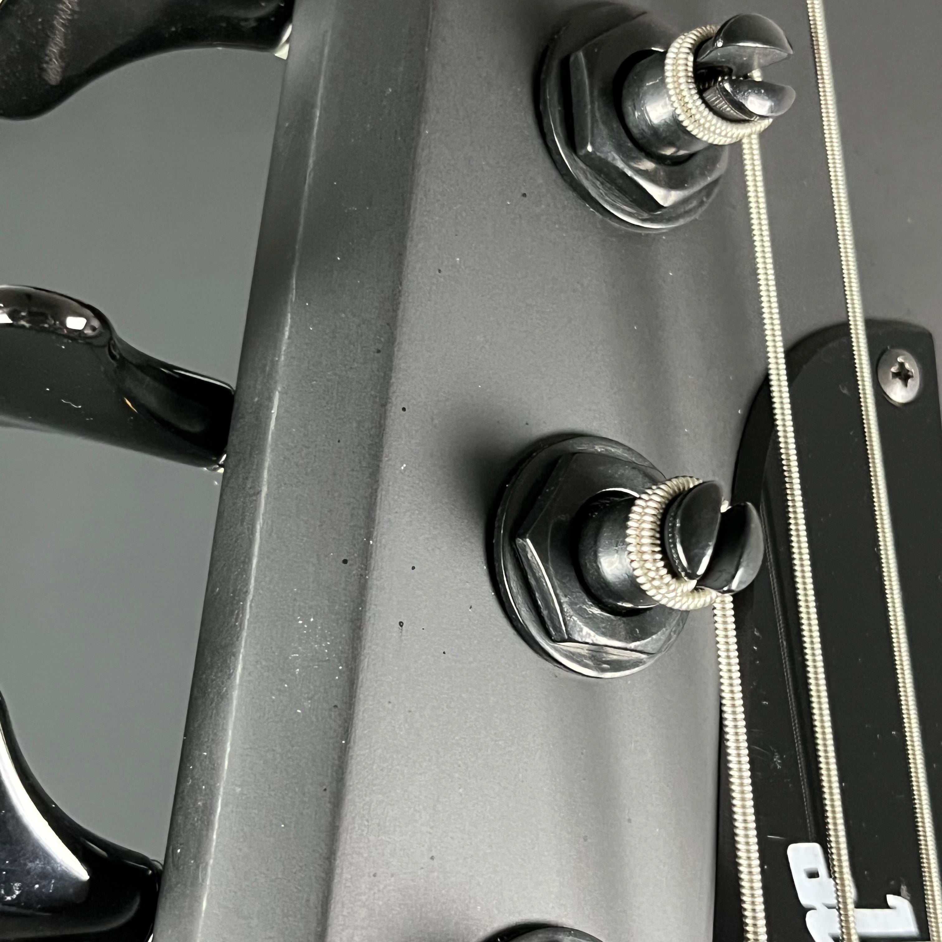 Epiphone Nikki Sixx Blackbird Bass