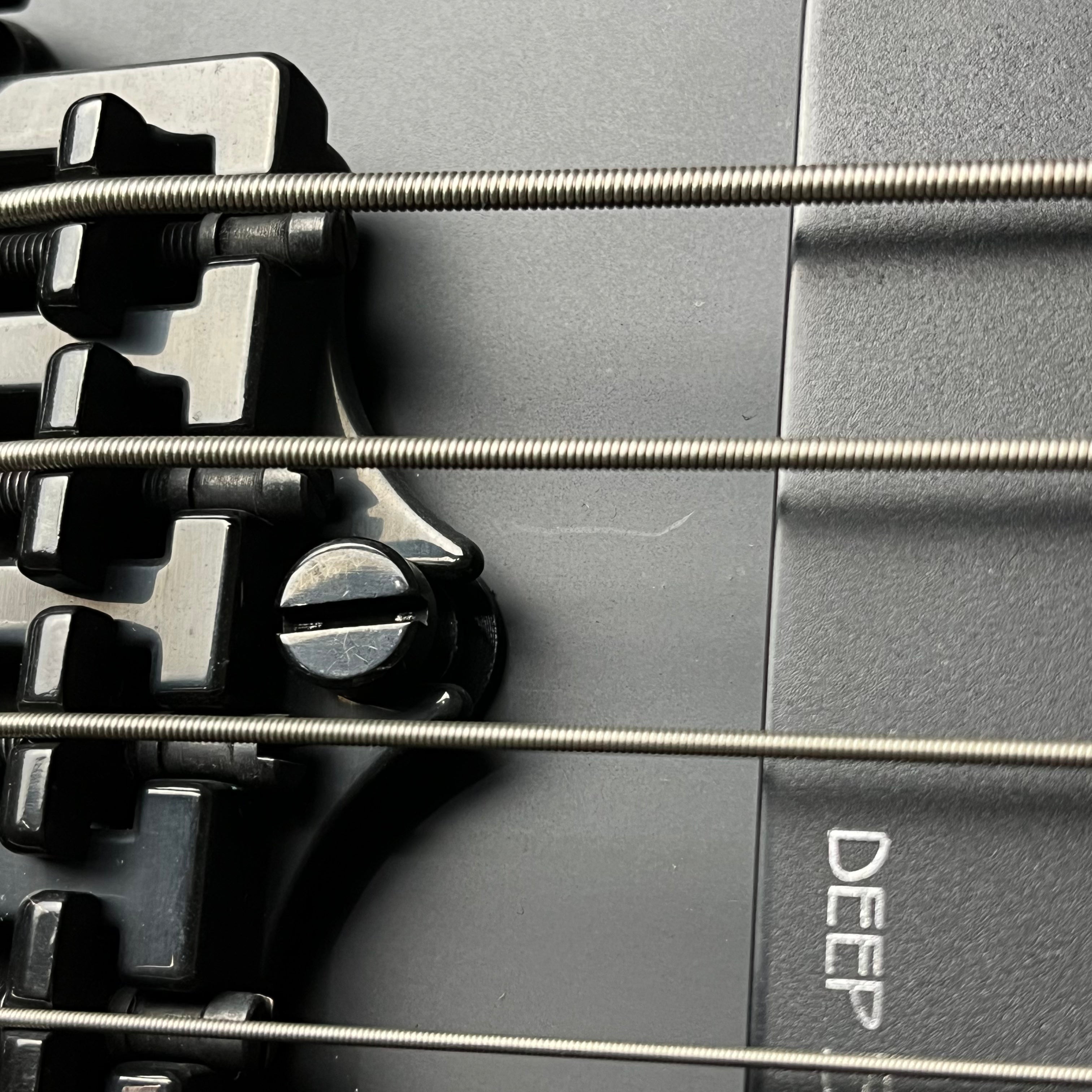 Epiphone Nikki Sixx Blackbird Bass