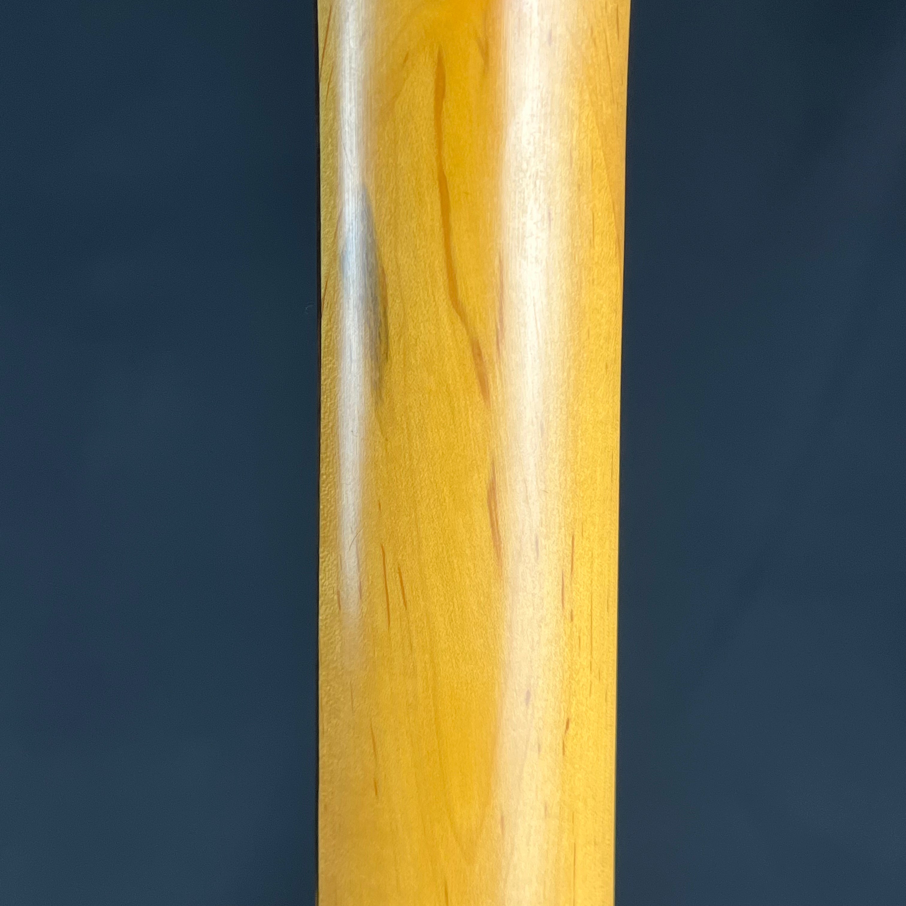 Aria Pro II Magna Series