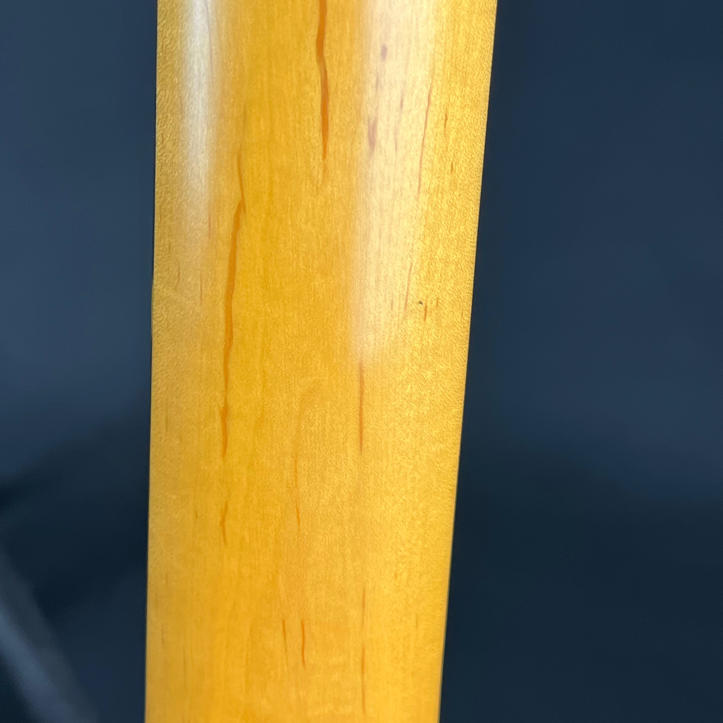 Aria Pro II Magna Series