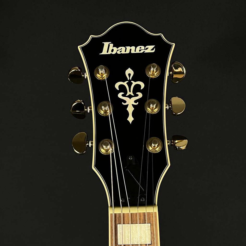 Ibanez AG95-DBS