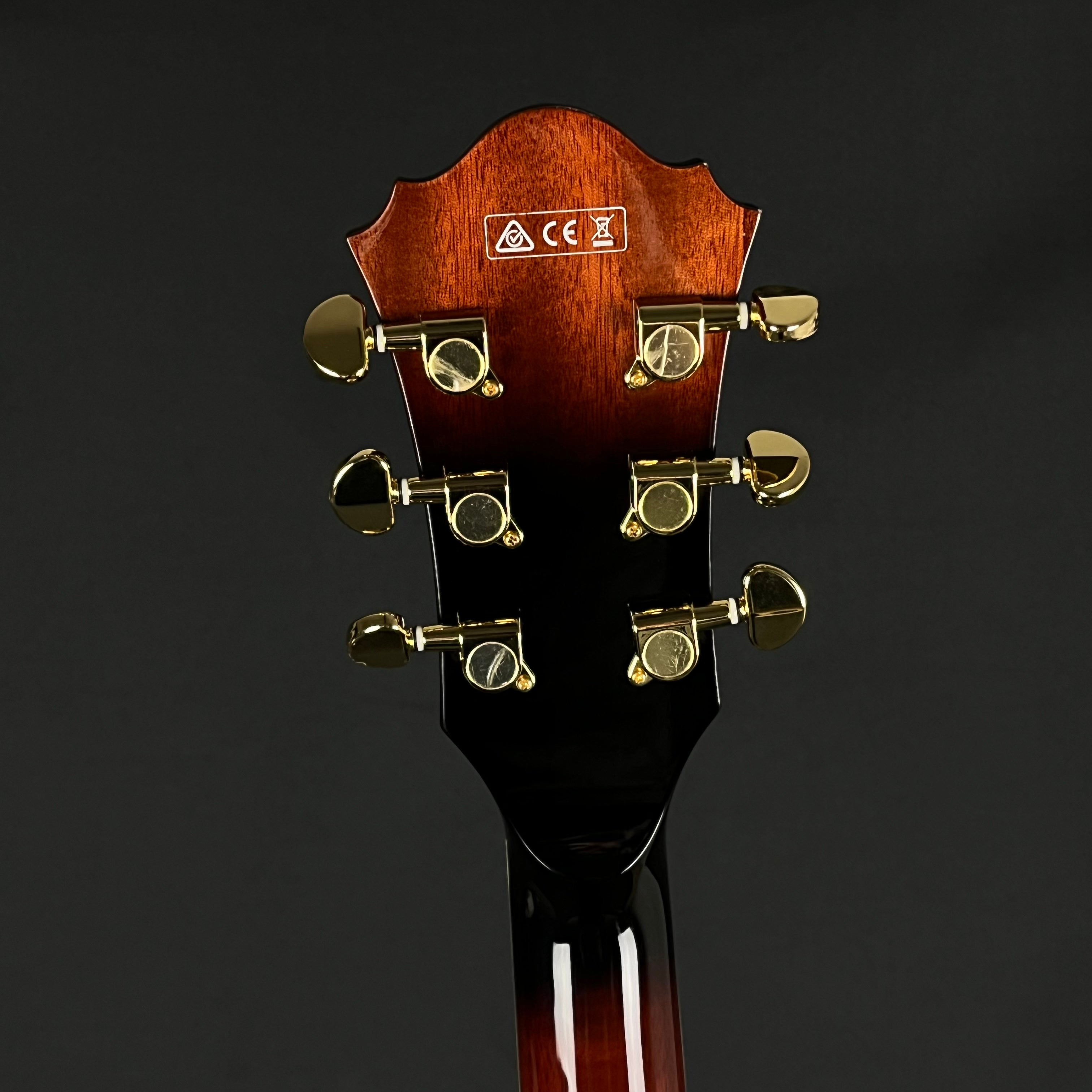 Ibanez AG95-DBS