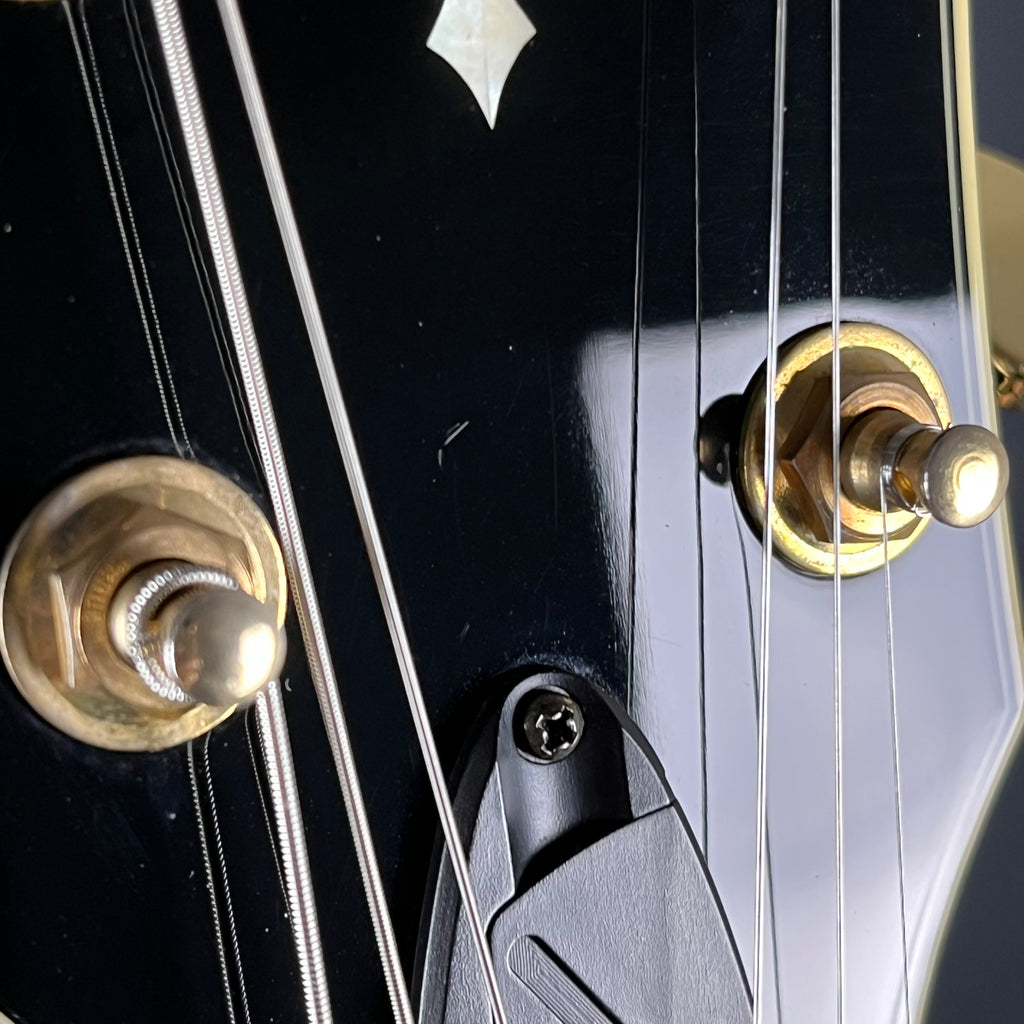 Ibanez AG95-DBS