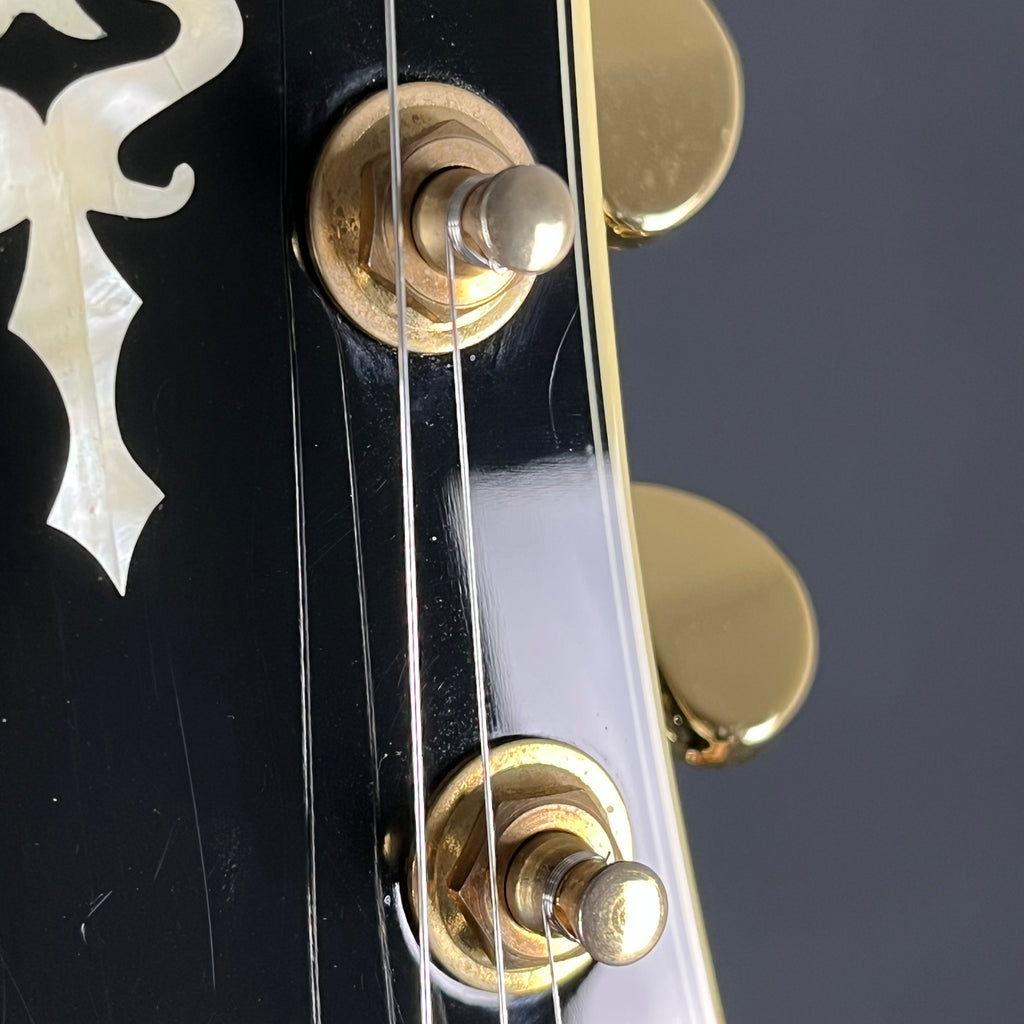 Ibanez AG95-DBS