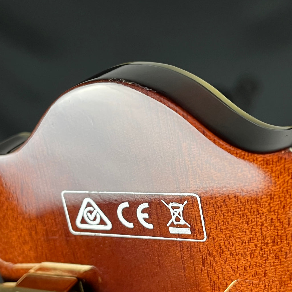 Ibanez AG95-DBS