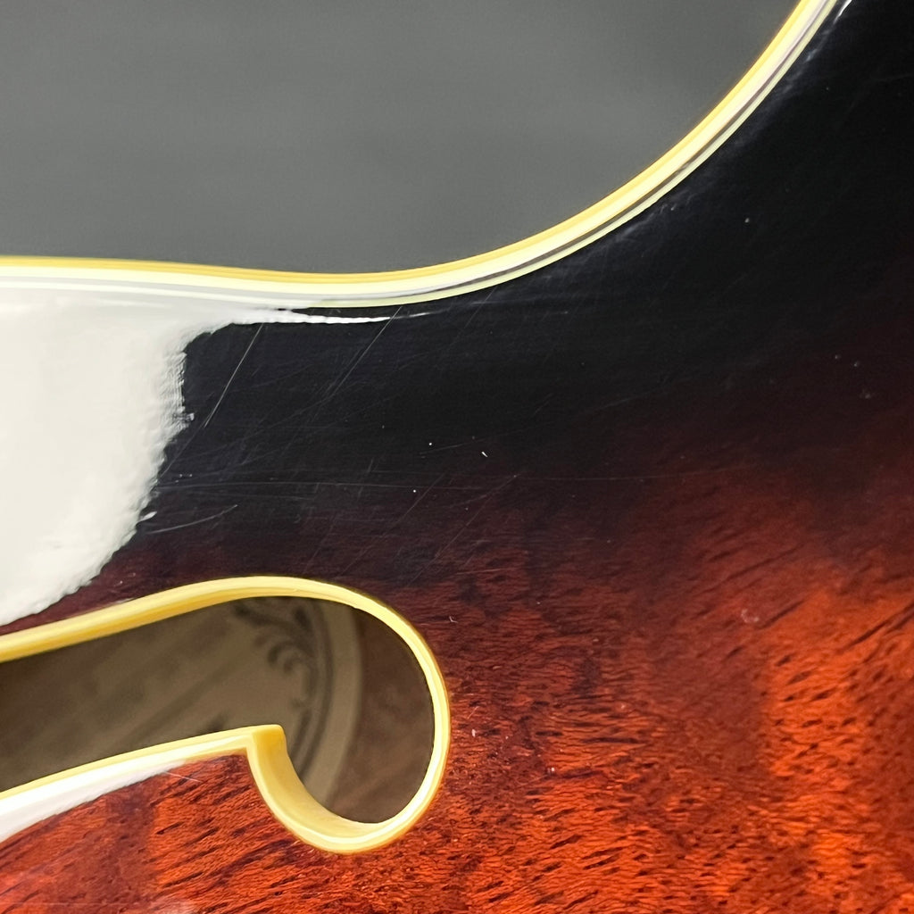 Ibanez AG95-DBS