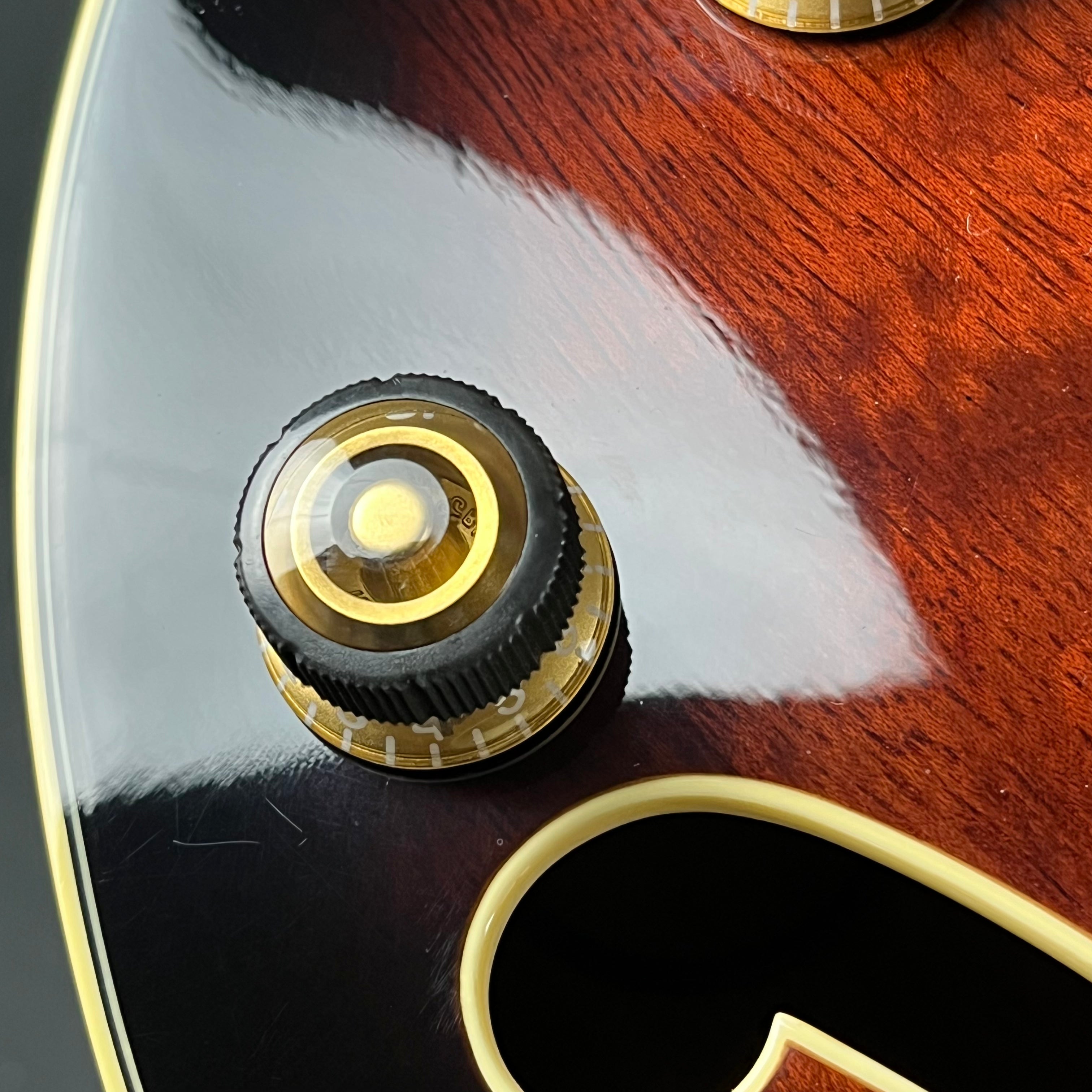 Ibanez AG95-DBS