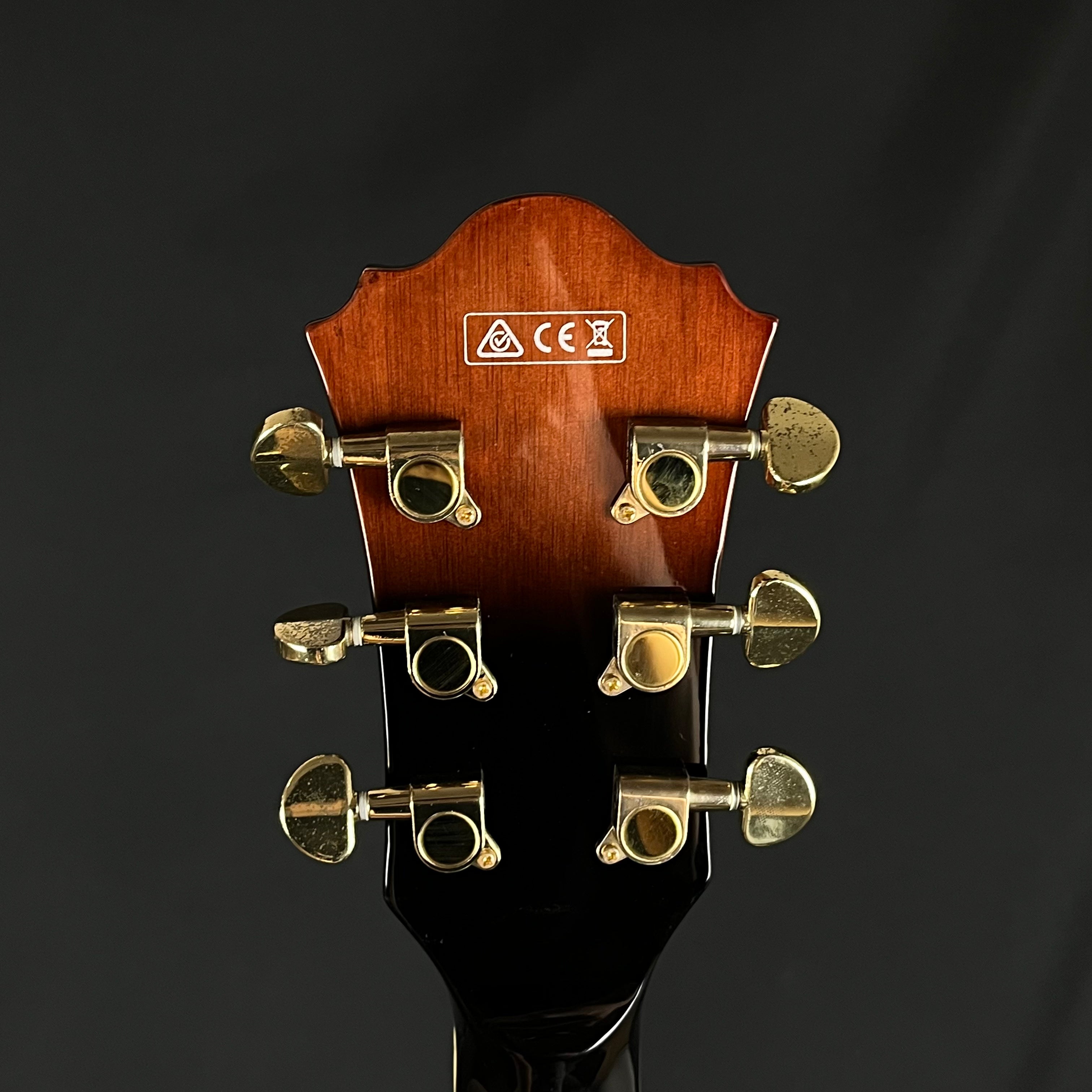 IBANEZ AG950A-DBS 5B-04