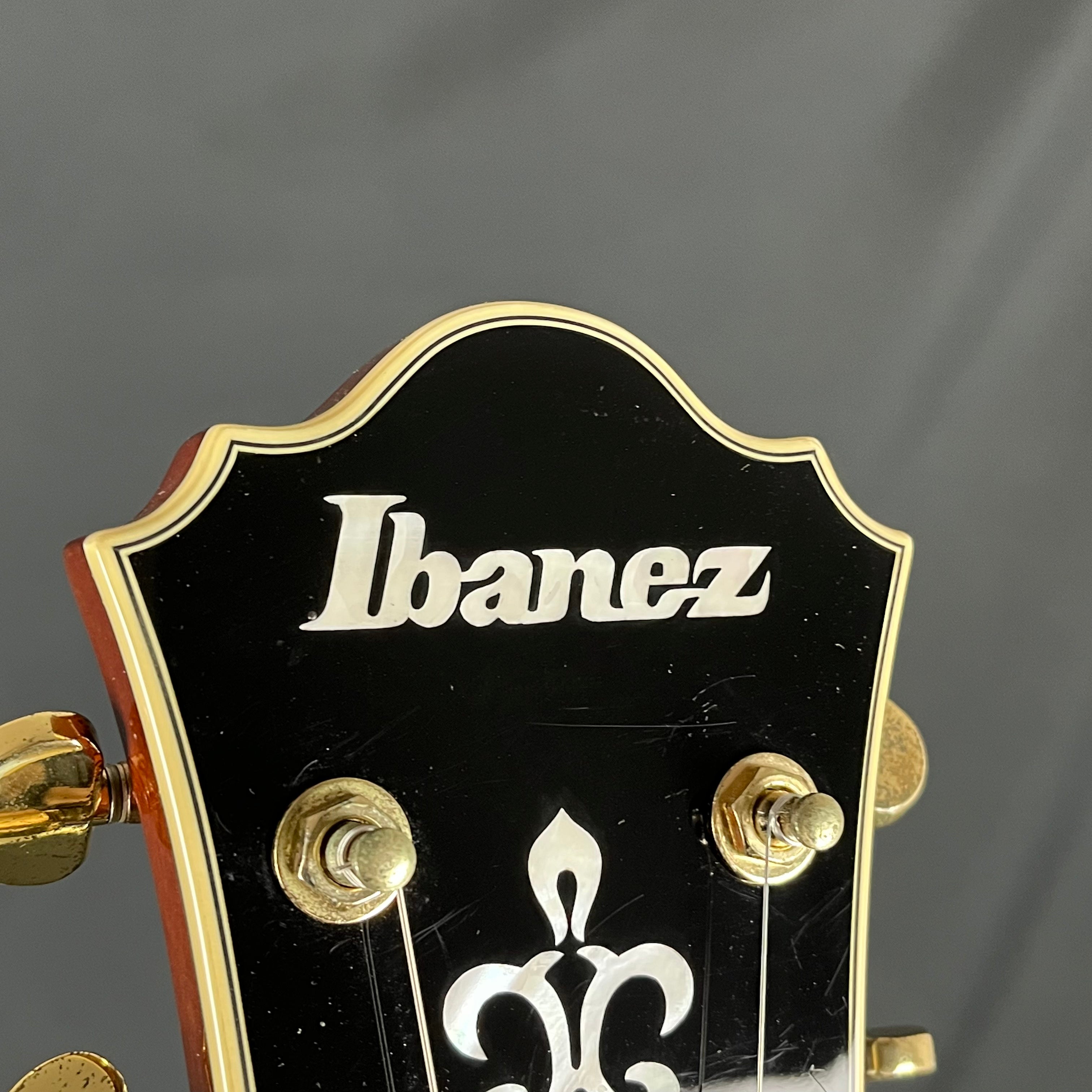 IBANEZ AG950A-DBS 5B-04