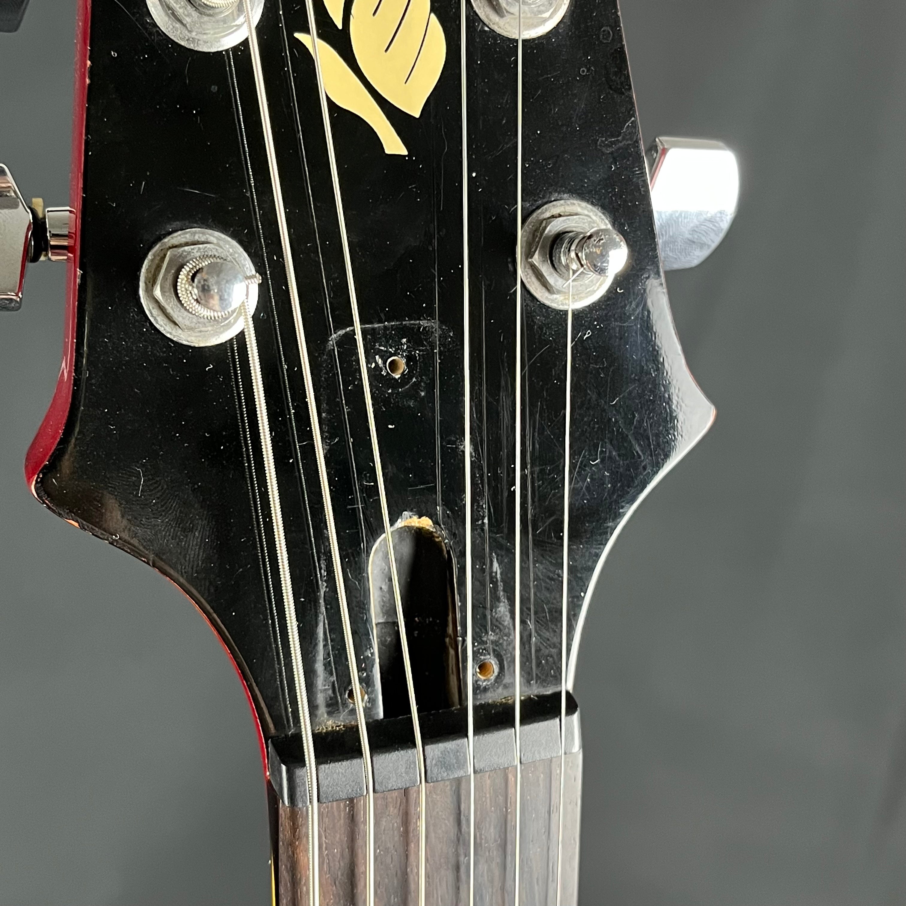 Aria Pro II PE-40