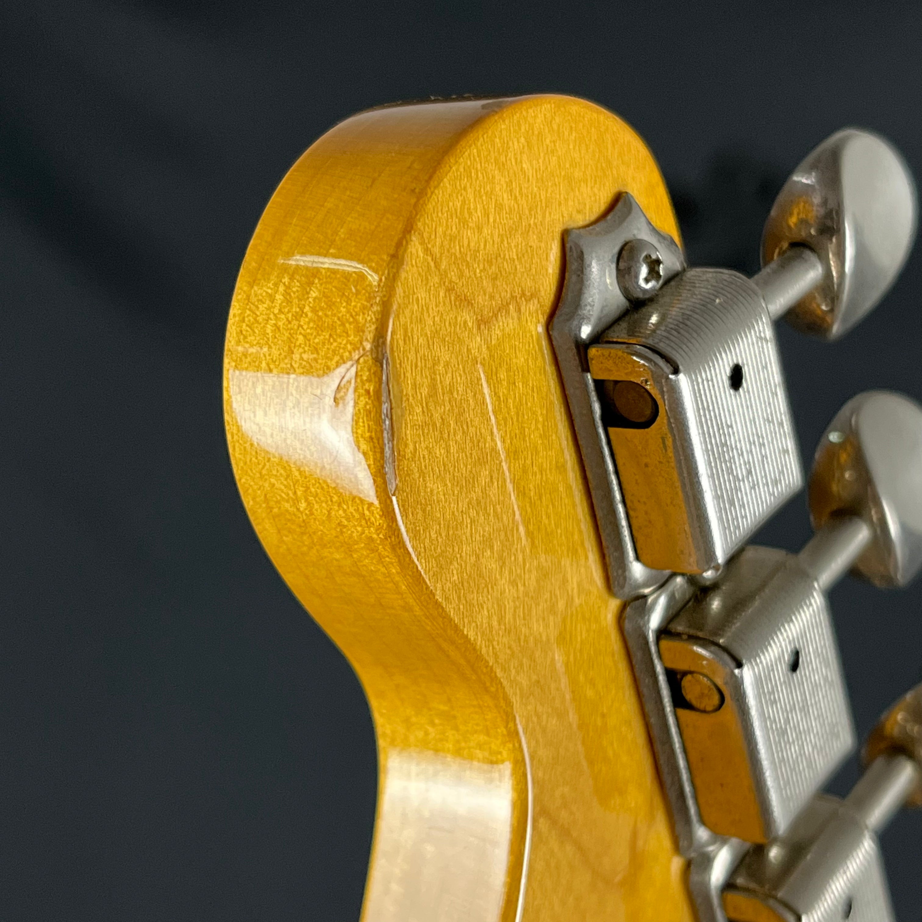 Bacchus Japan Telecaster Thinline * Mod *