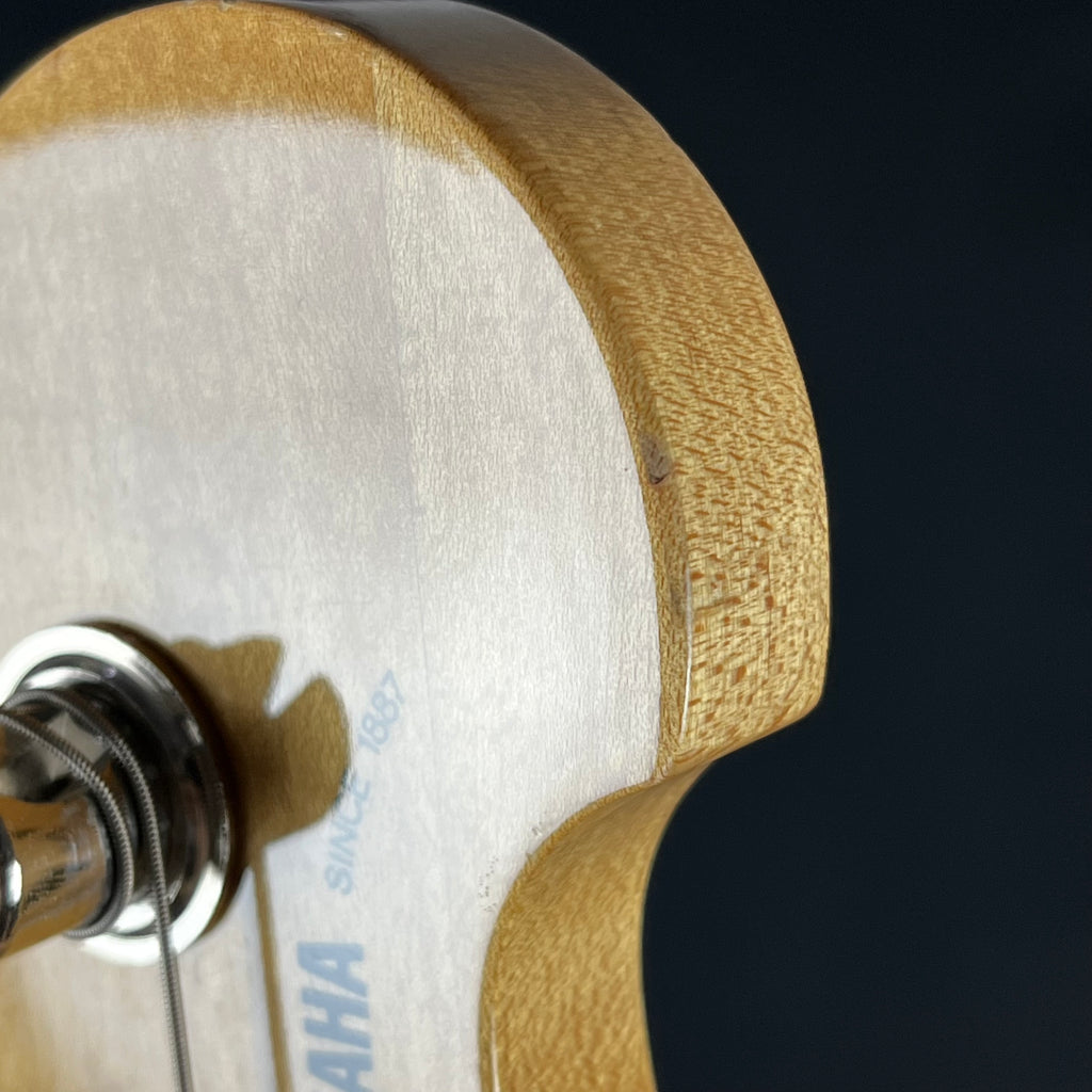 YAMAHA Japan Broad Bass VIs