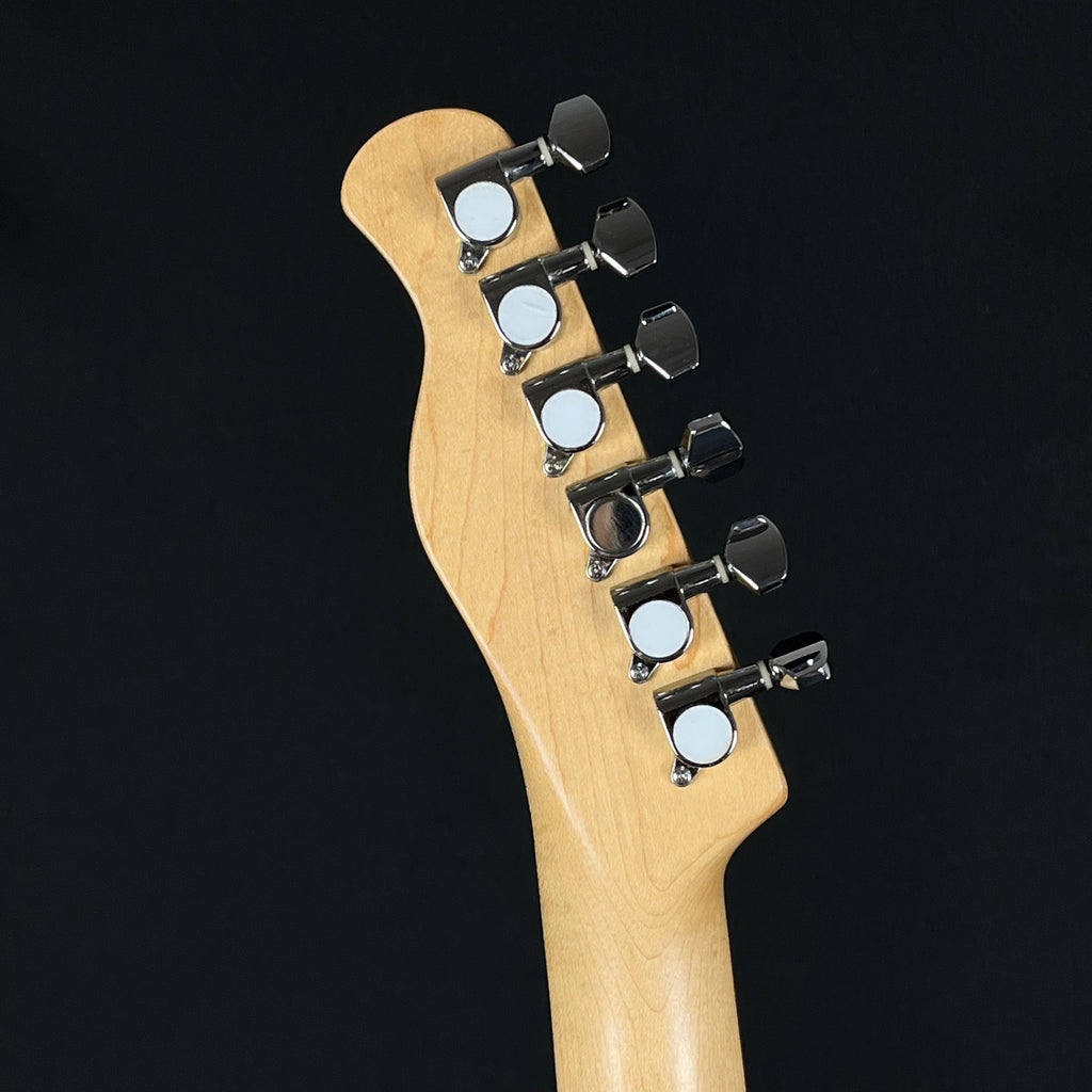 Bacchus Universe Series Telecaster