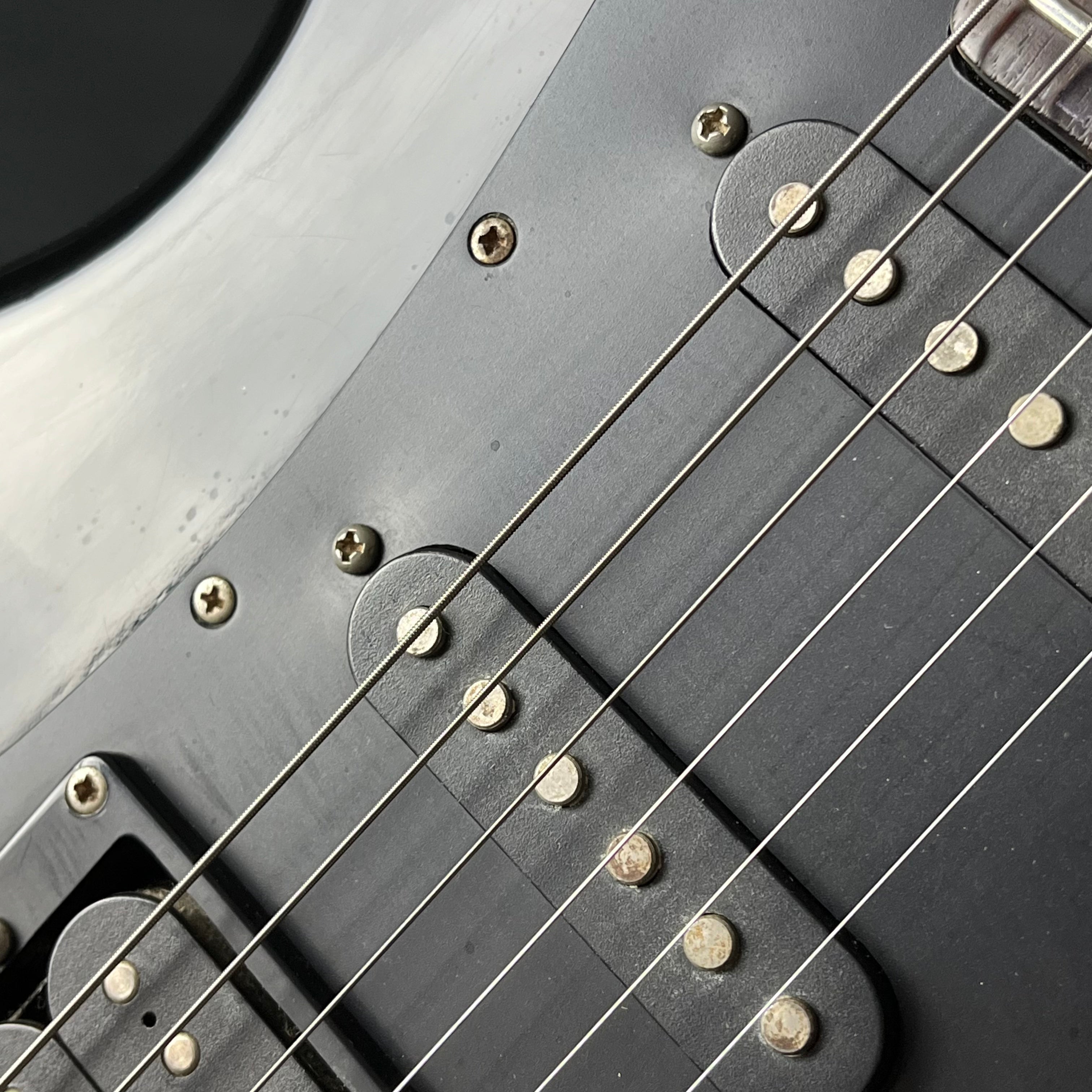 Aria Pro II RS WILDCAT