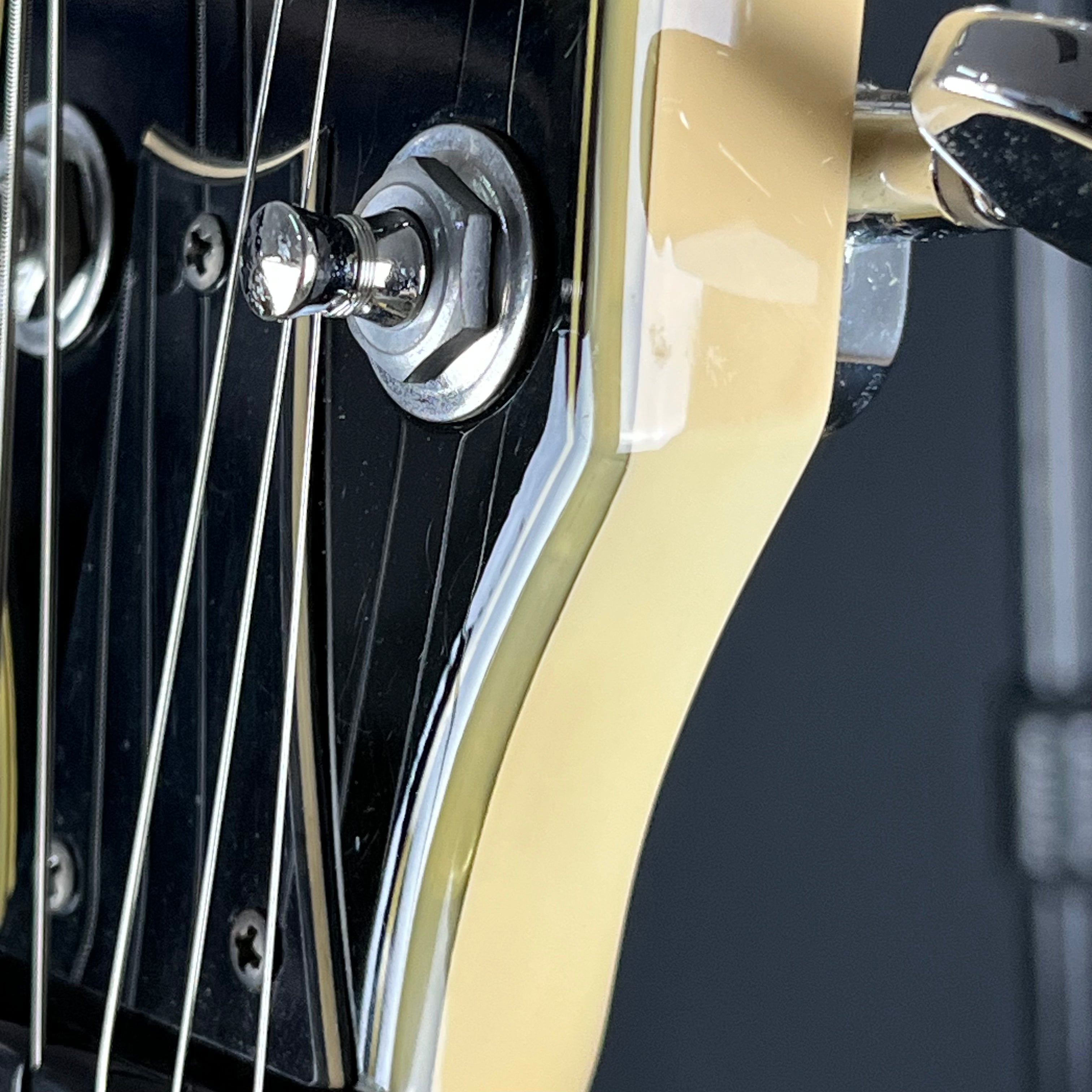 Ibanez DN500
