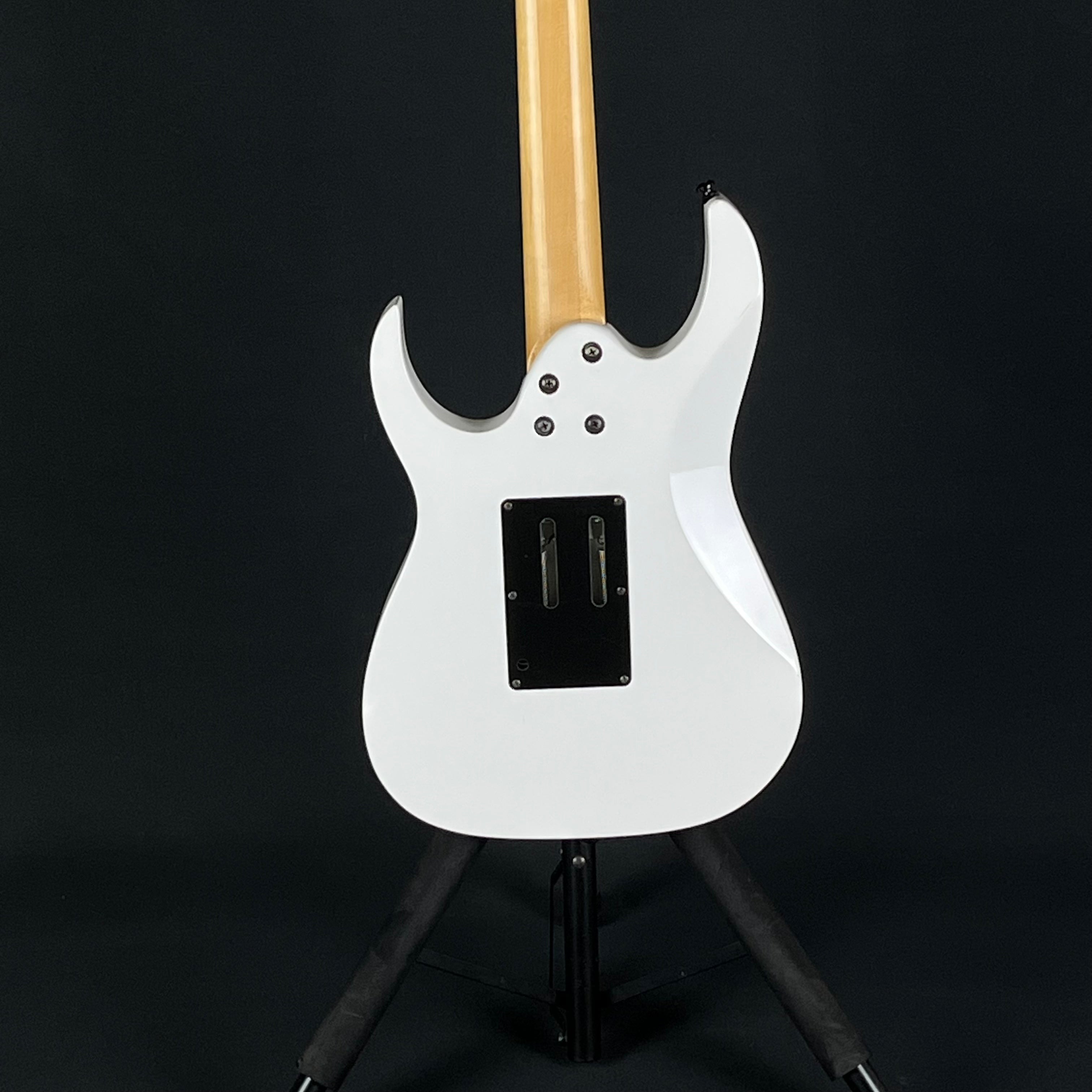 Ibanez RG350DX 2010