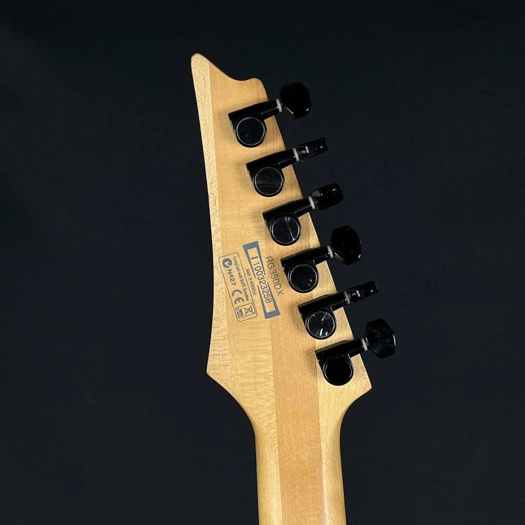 Ibanez RG350DX 2010