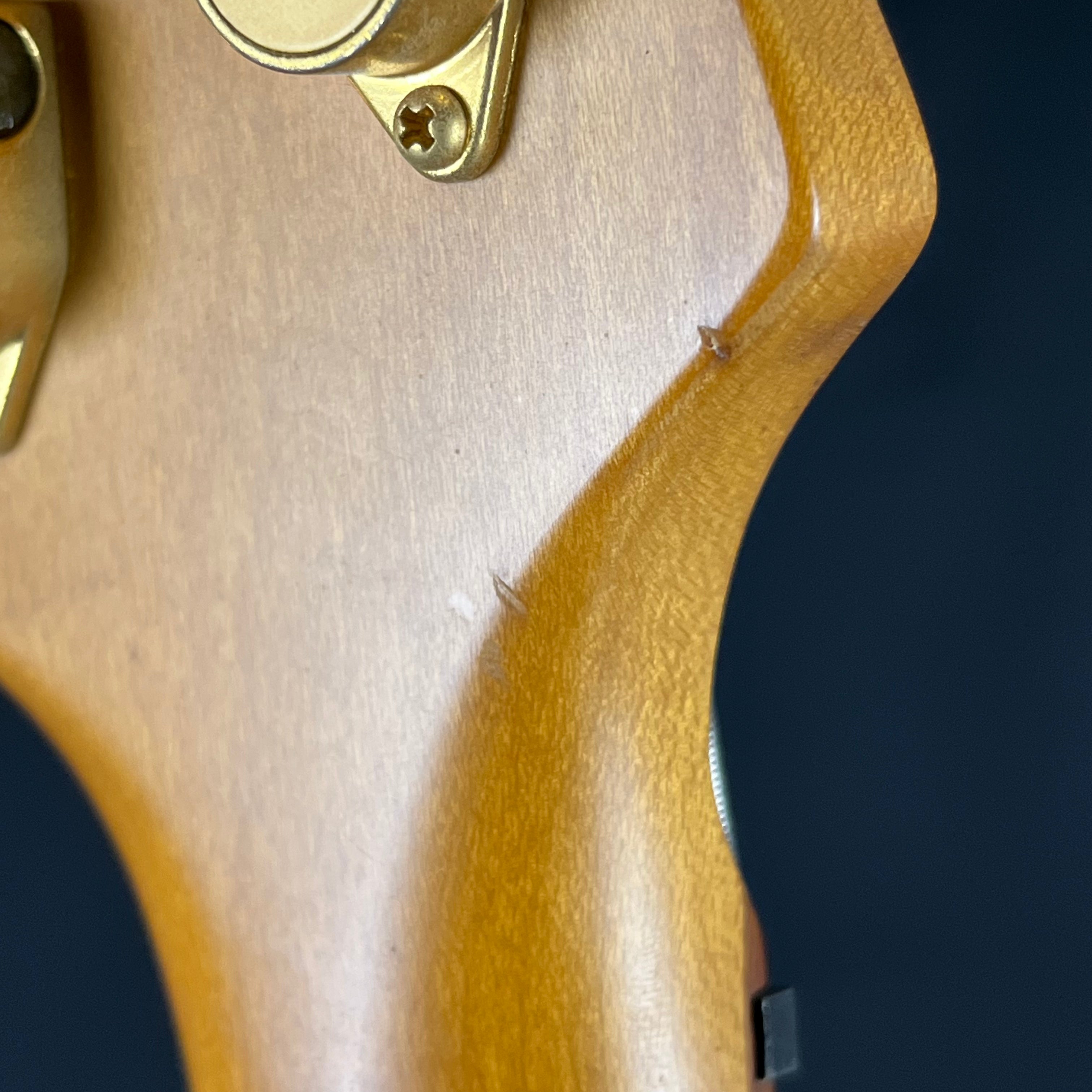 Fernandes FRB-75 Bass