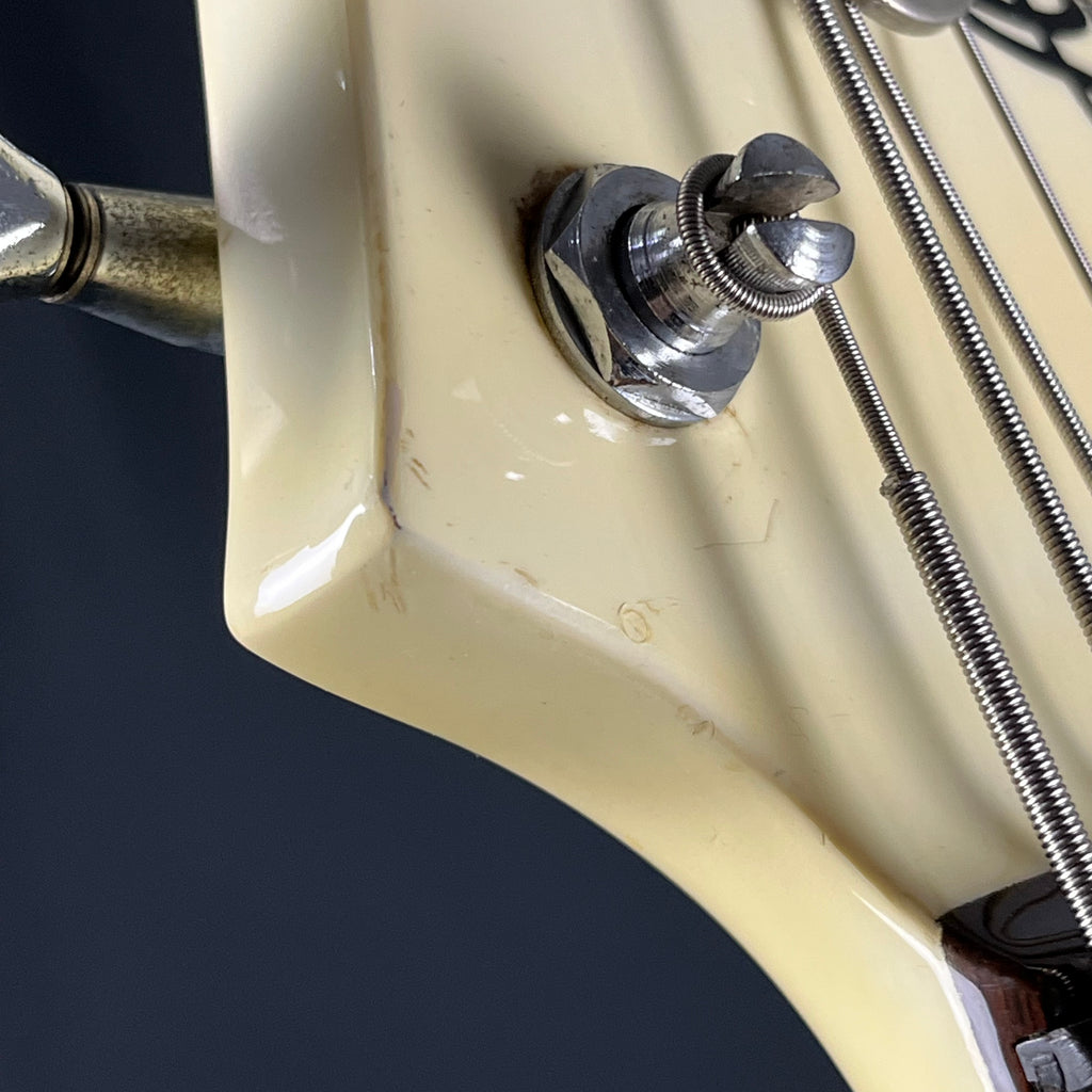 Aria Pro II RSB Series Bass