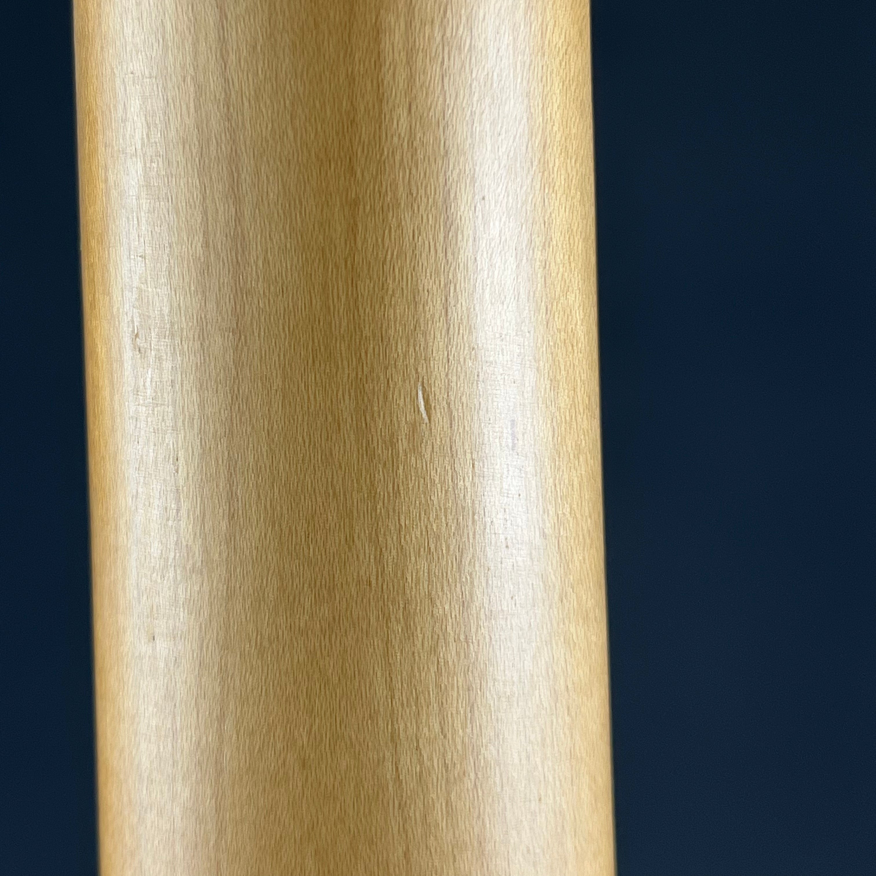 Bacchus Universe Series Telecaster