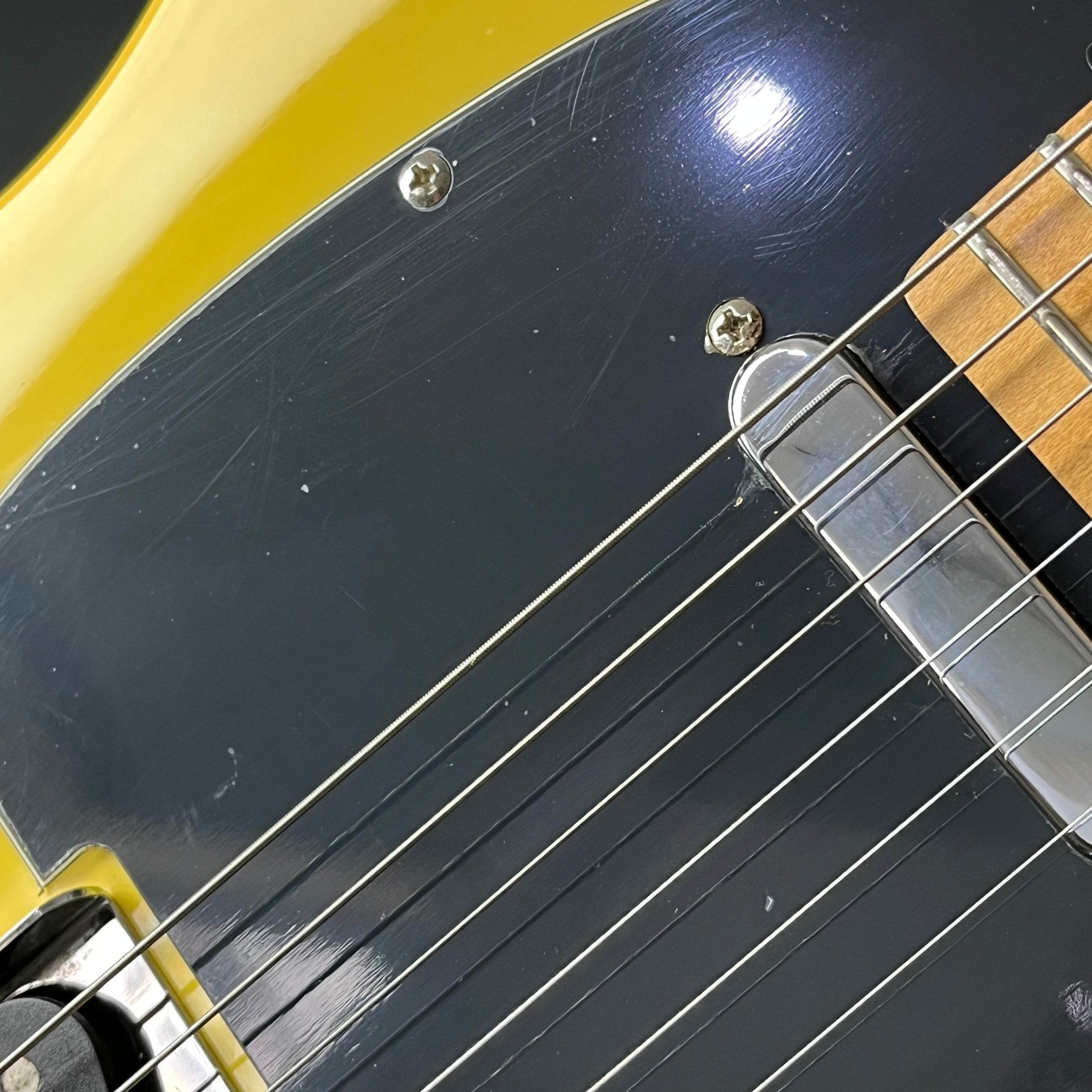 Bacchus Universe Series Telecaster