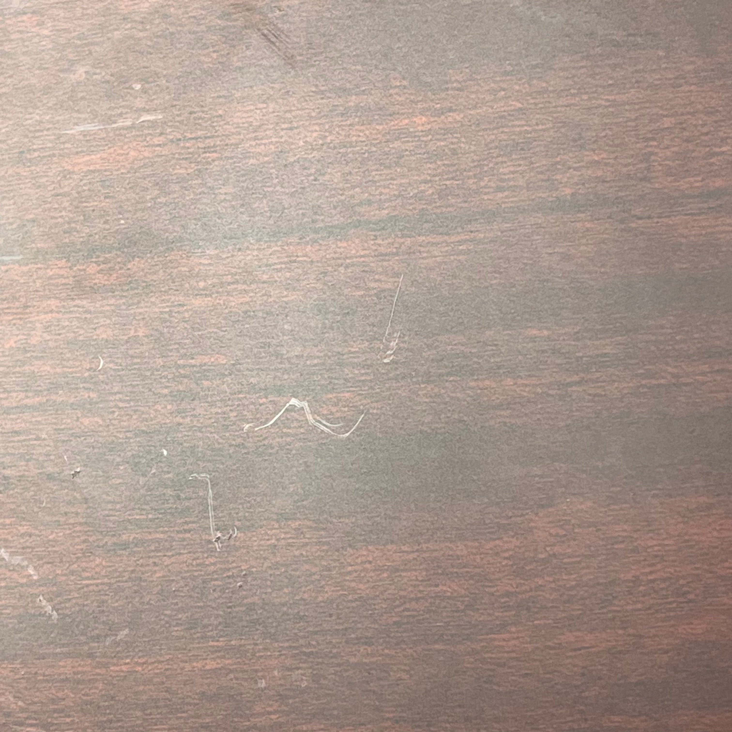 Epiphone Korea Firebird Studio Worn