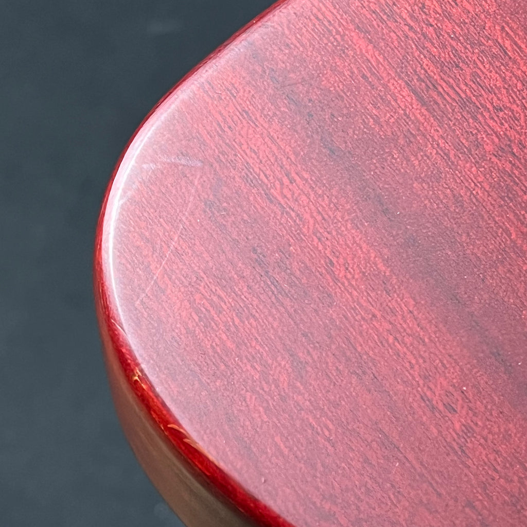 Epiphone Korea Firebird Studio Worn