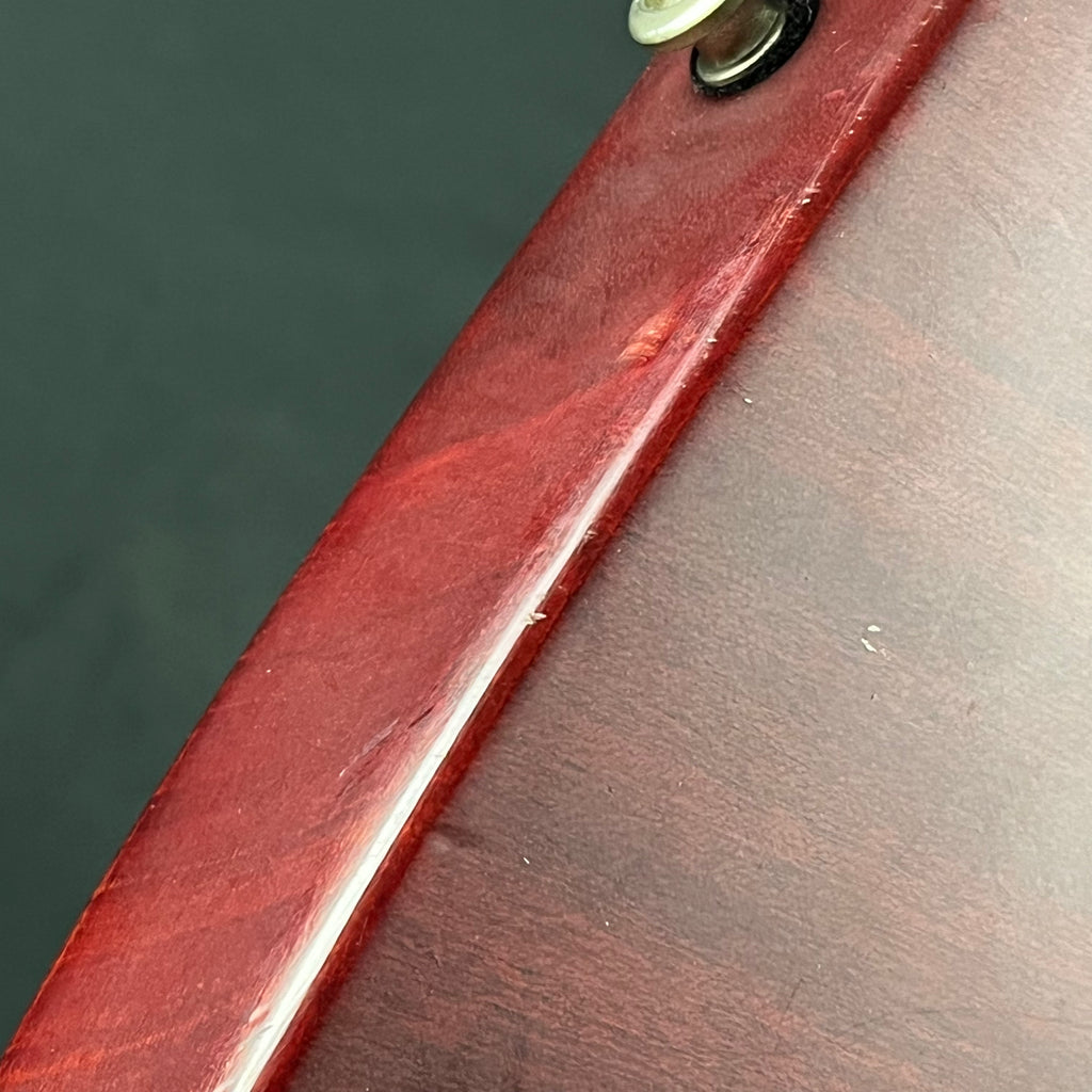 Epiphone Korea Firebird Studio Worn