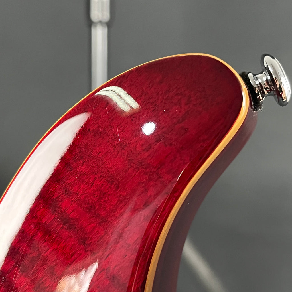 PRS SE Custom 24 2012 *MOD*